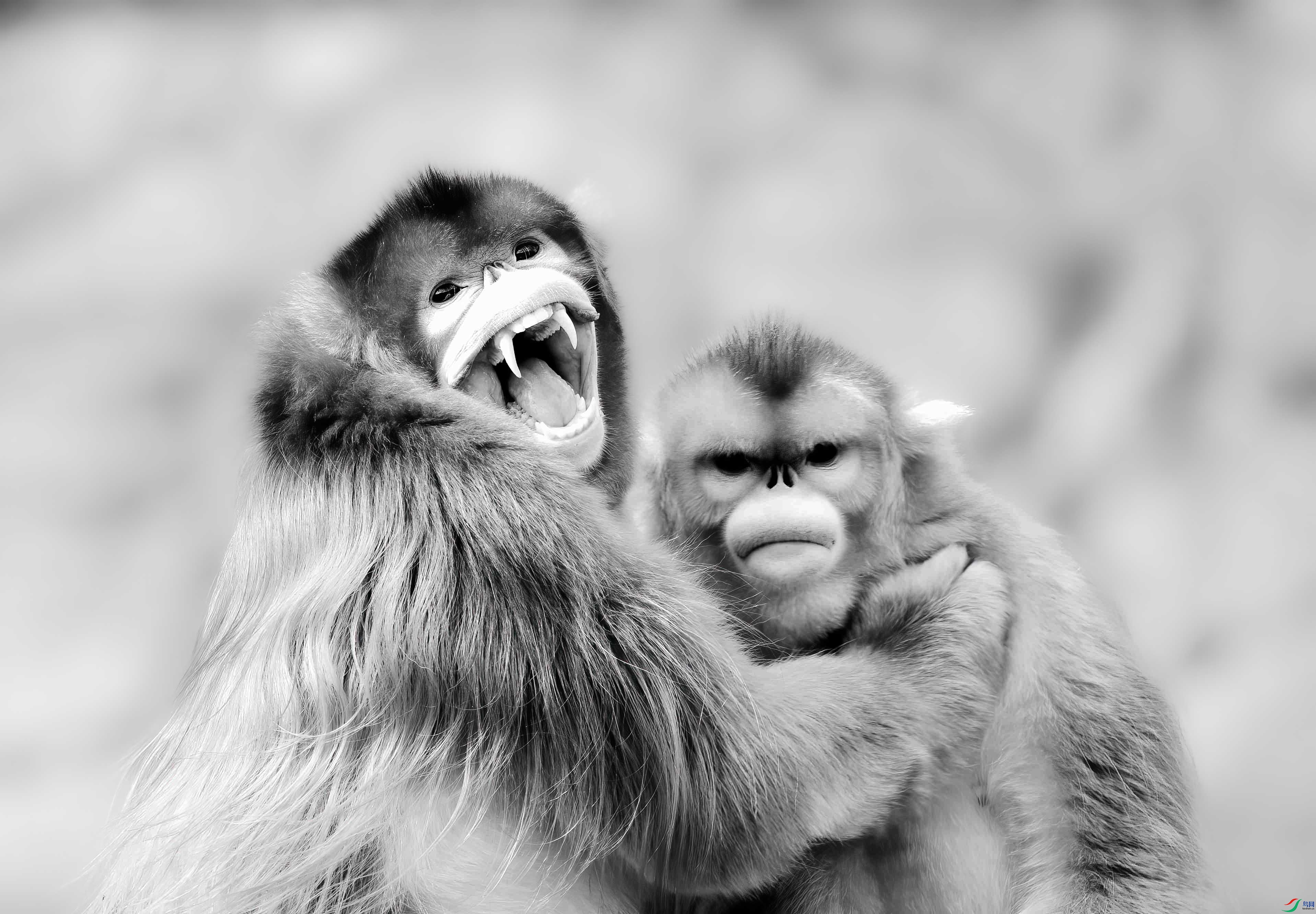 DSC_0341 ����_���� ����.jpg