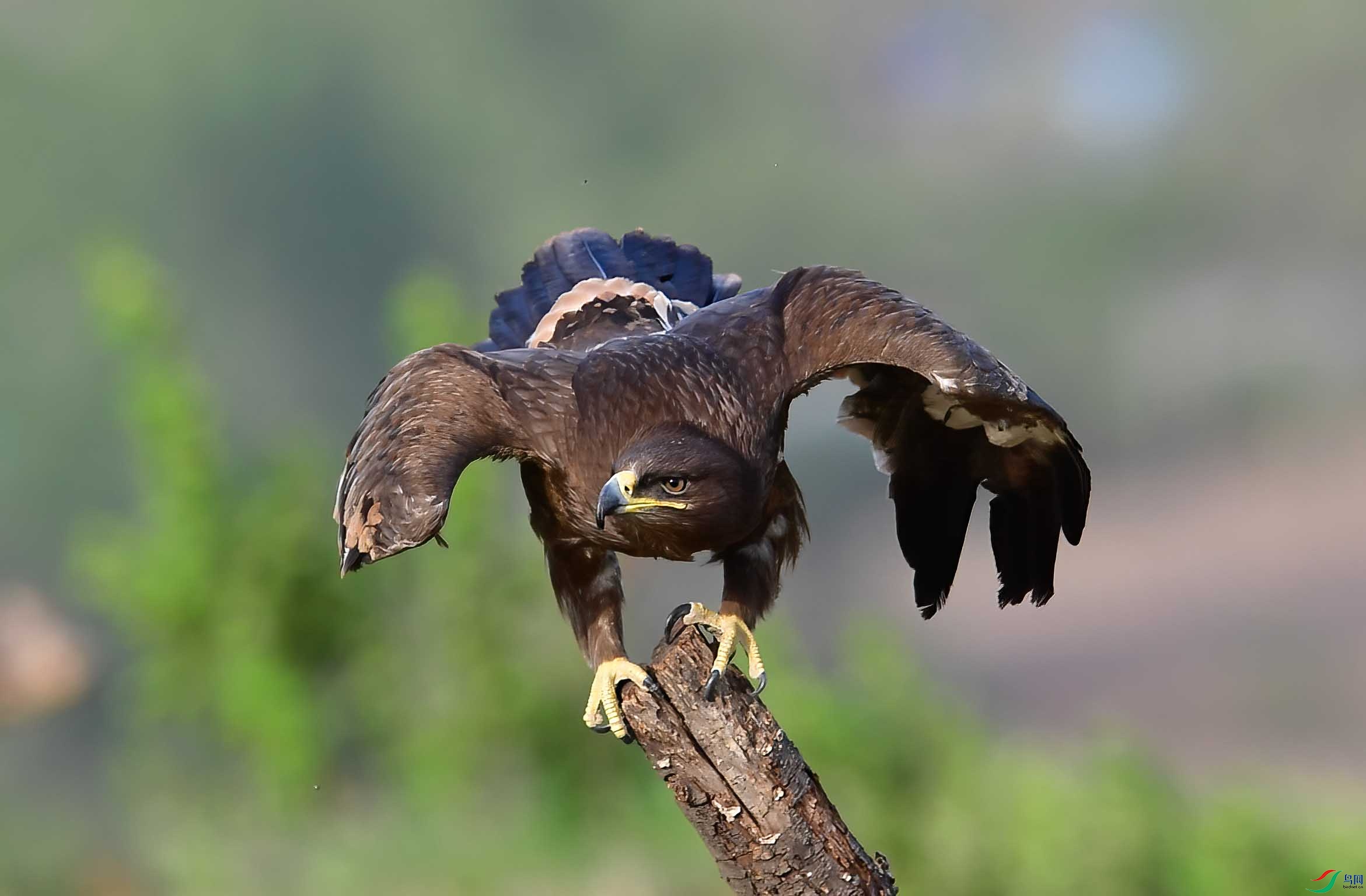 DSC_7033_���� ����.jpg