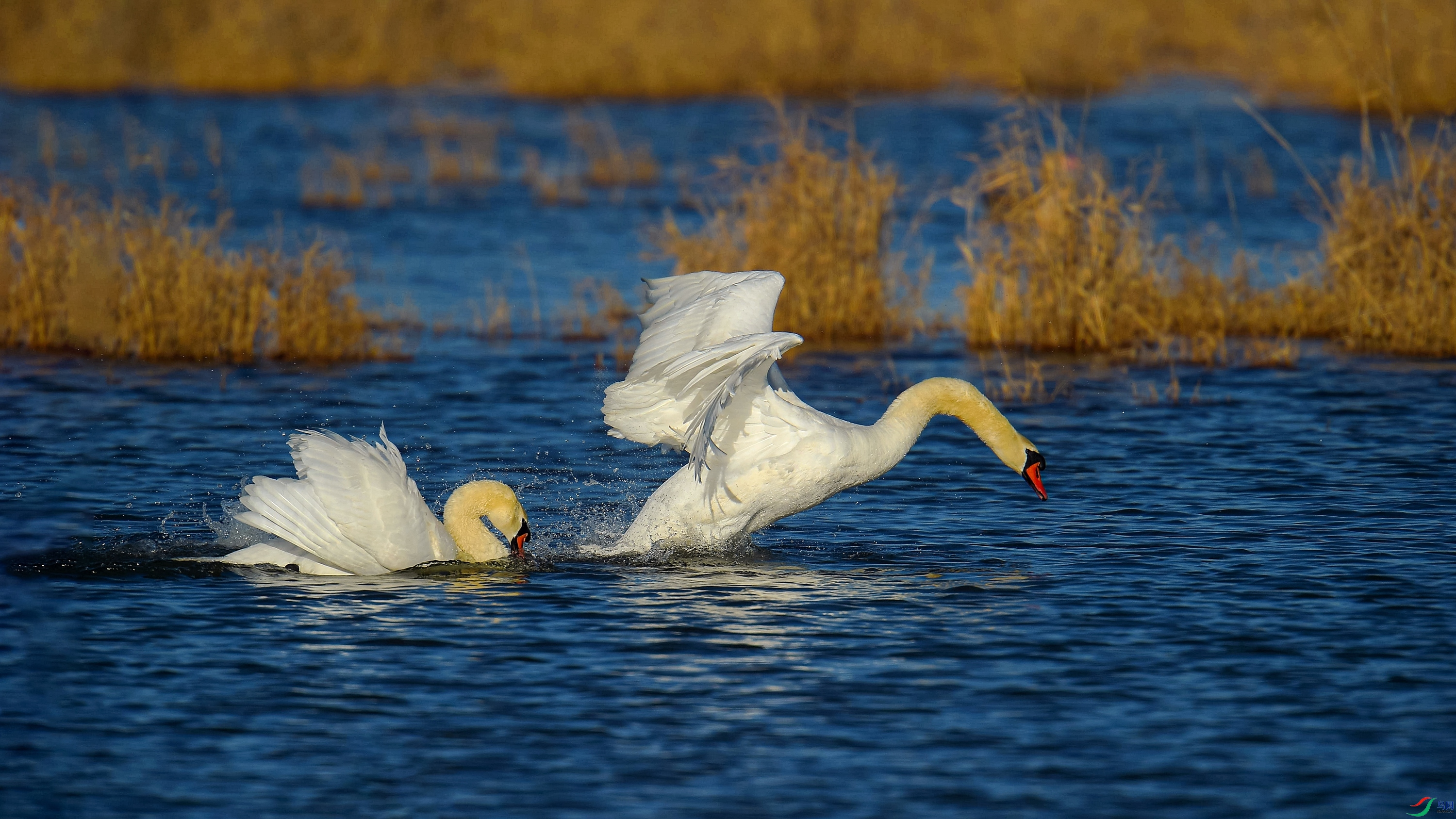 YJY_6913_���� ����_����.jpg