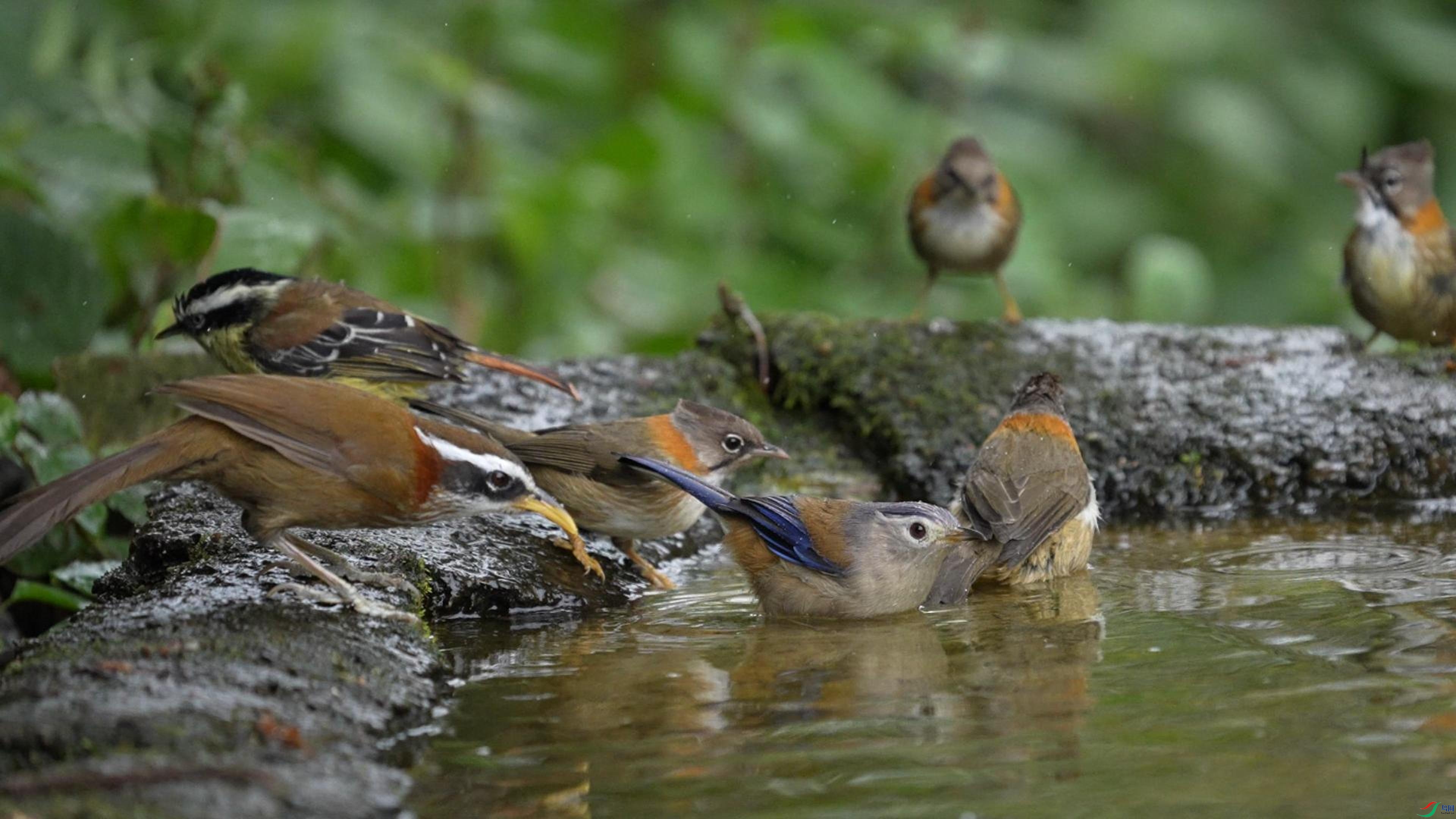 4��21�� (1)-����.jpg