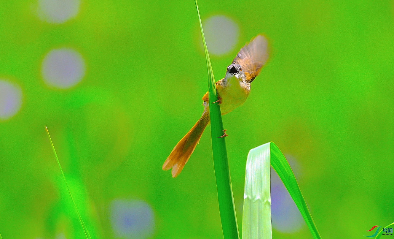 {C2F68A18-7463-4617-98F9-D55D75DB91BB} ����.jpg