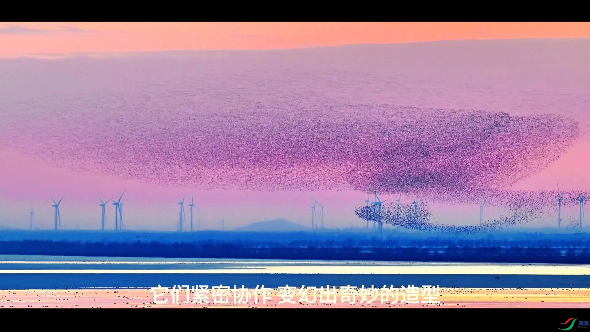 4��21�� (1)(1)-����.jpg