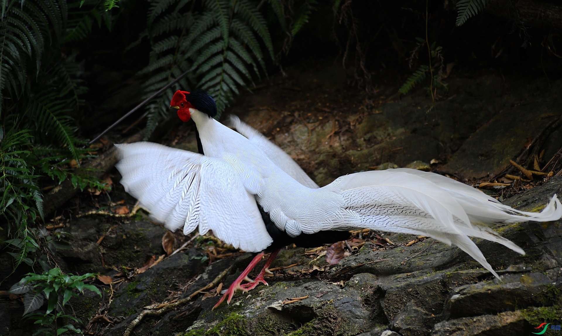 DSC_8488.jpg