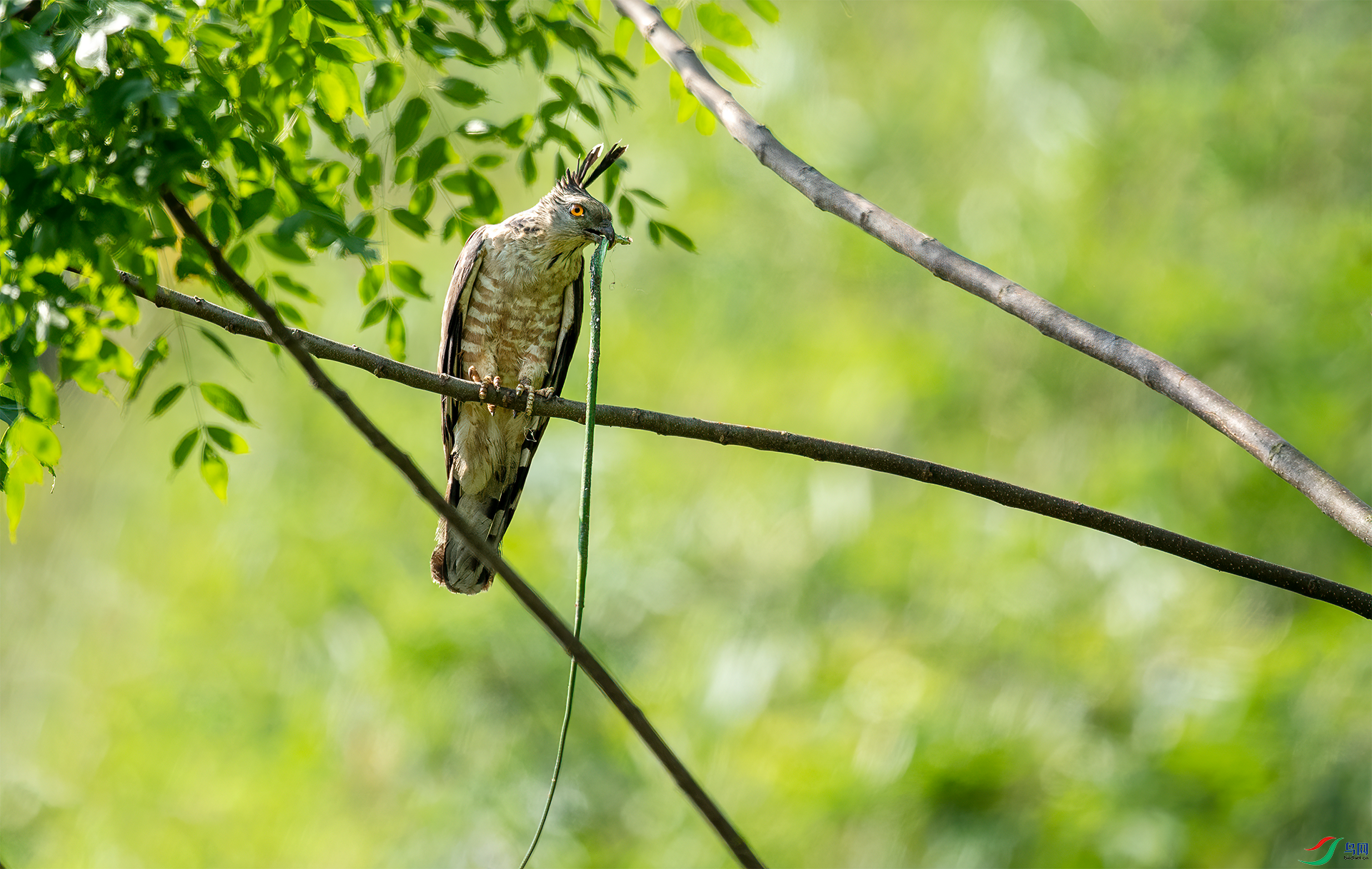 DSC_0299.png   0001.png