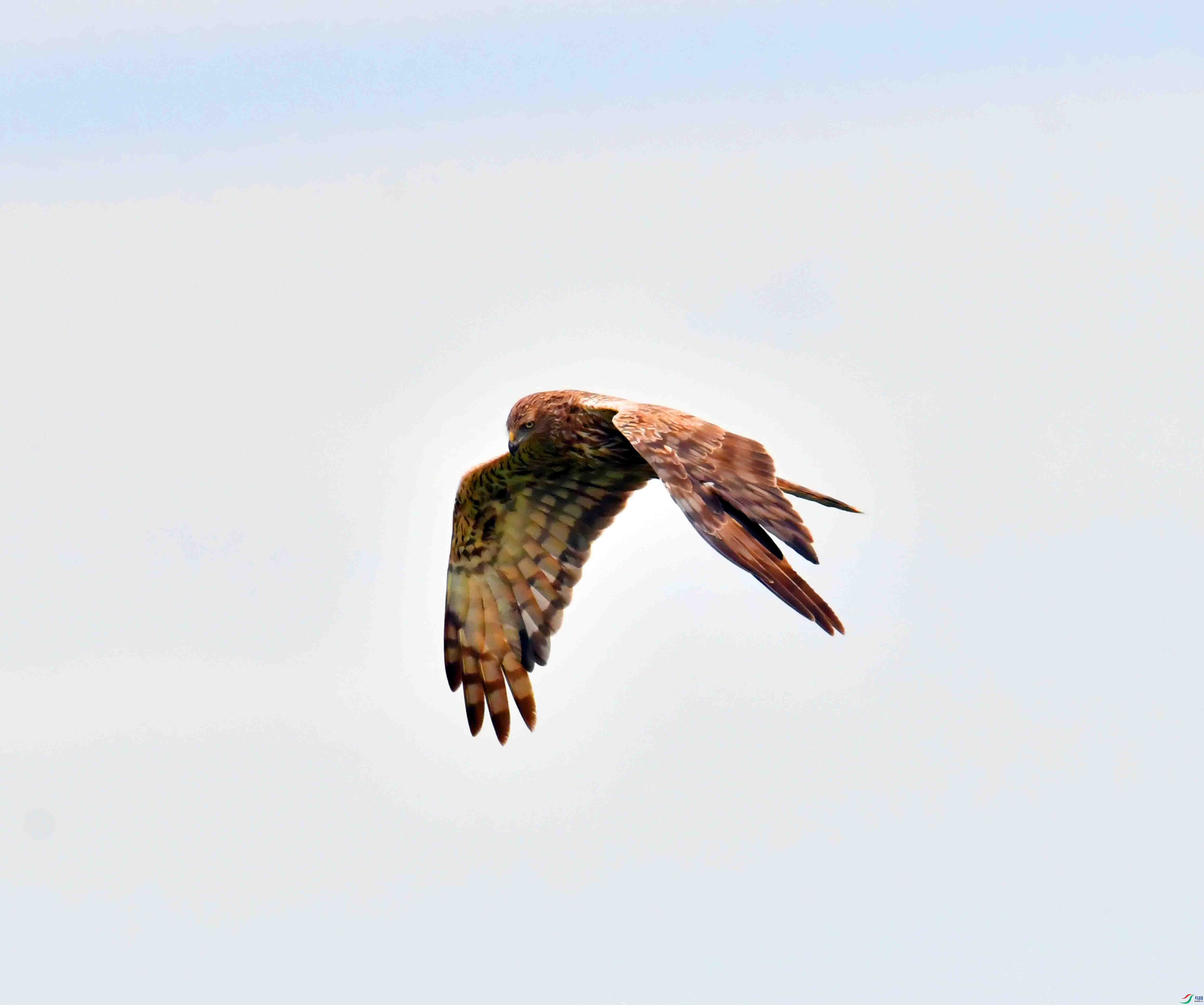DSC_8051.JPG