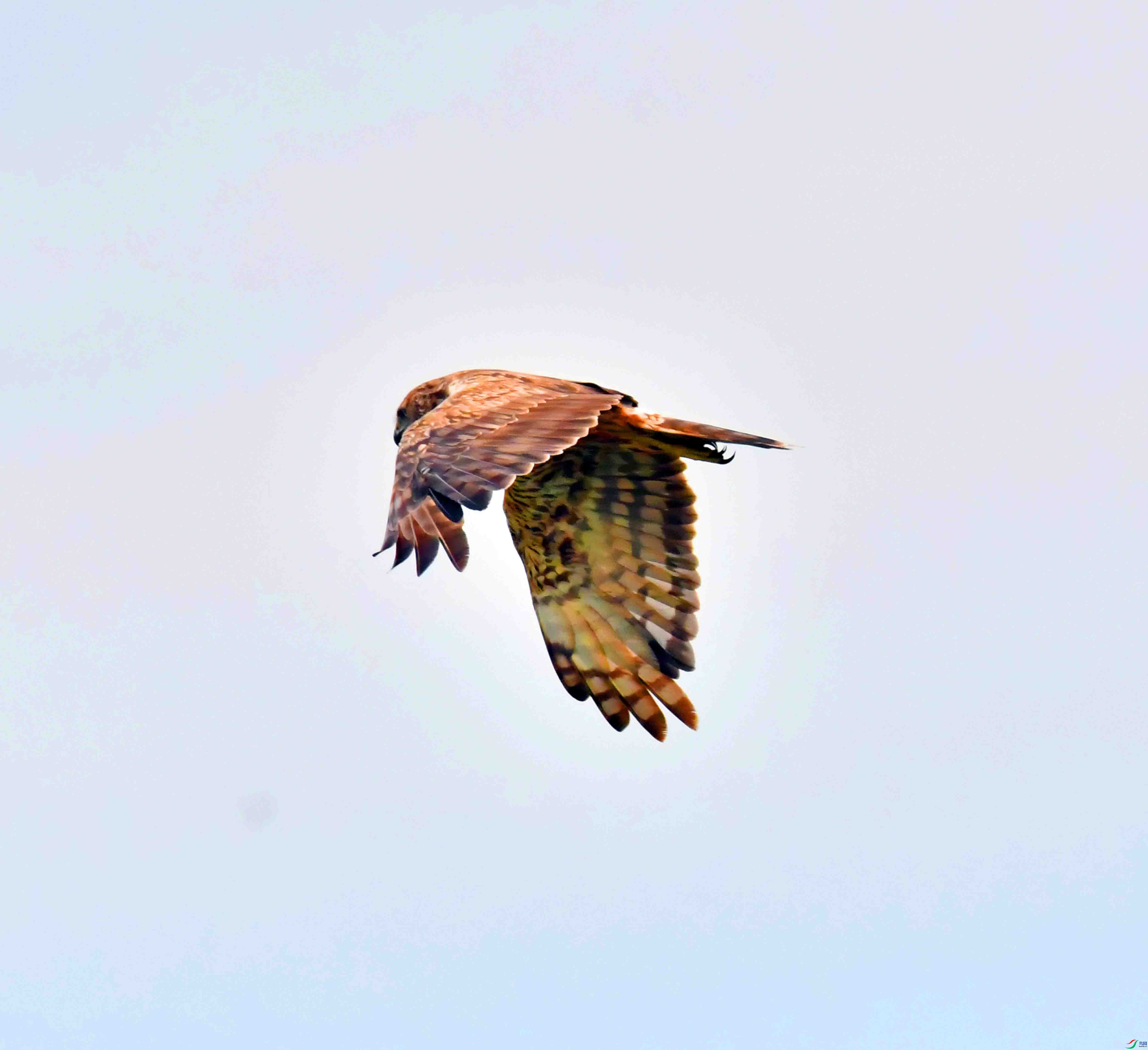 DSC_8055.JPG