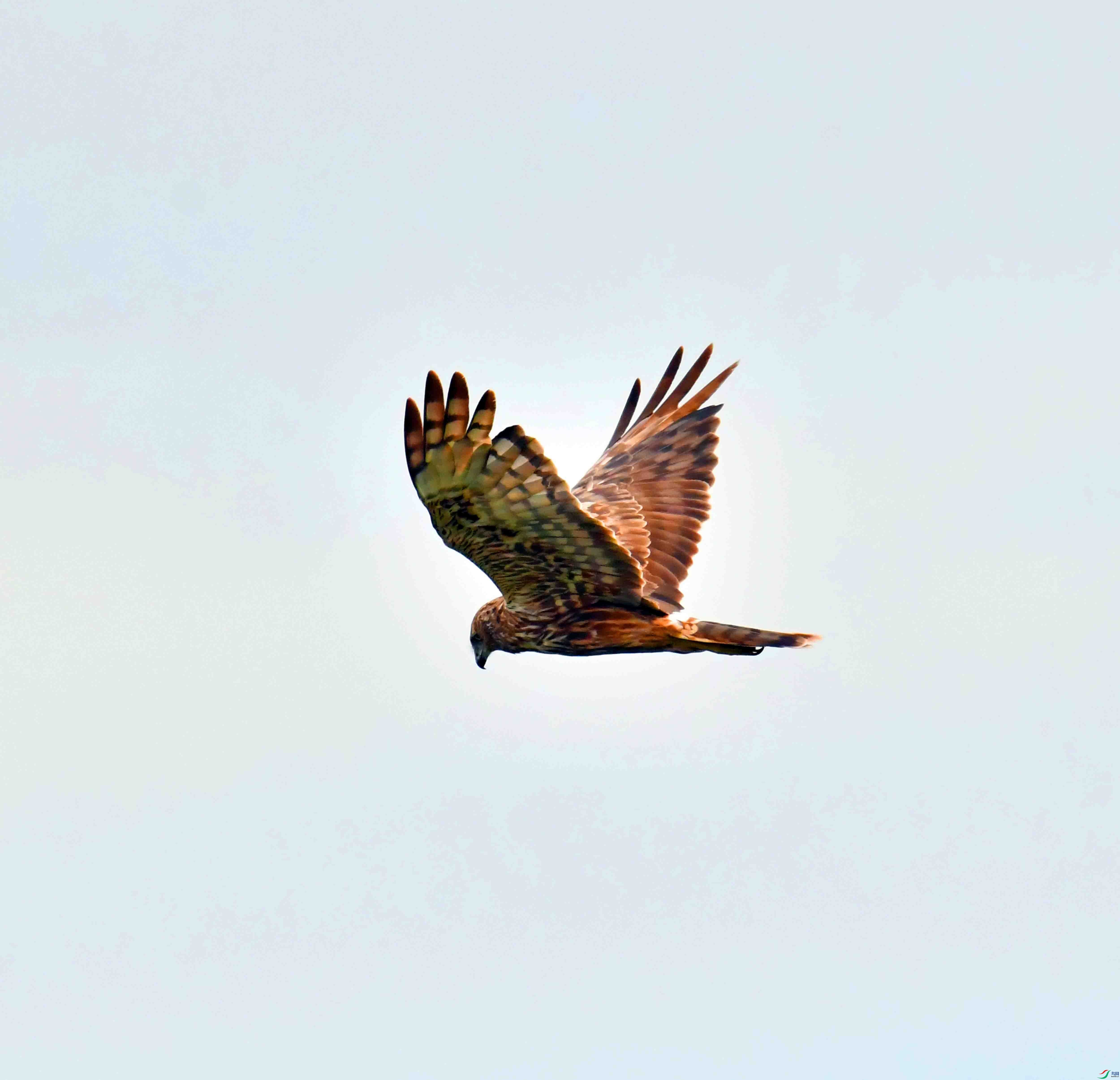 DSC_8057.JPG