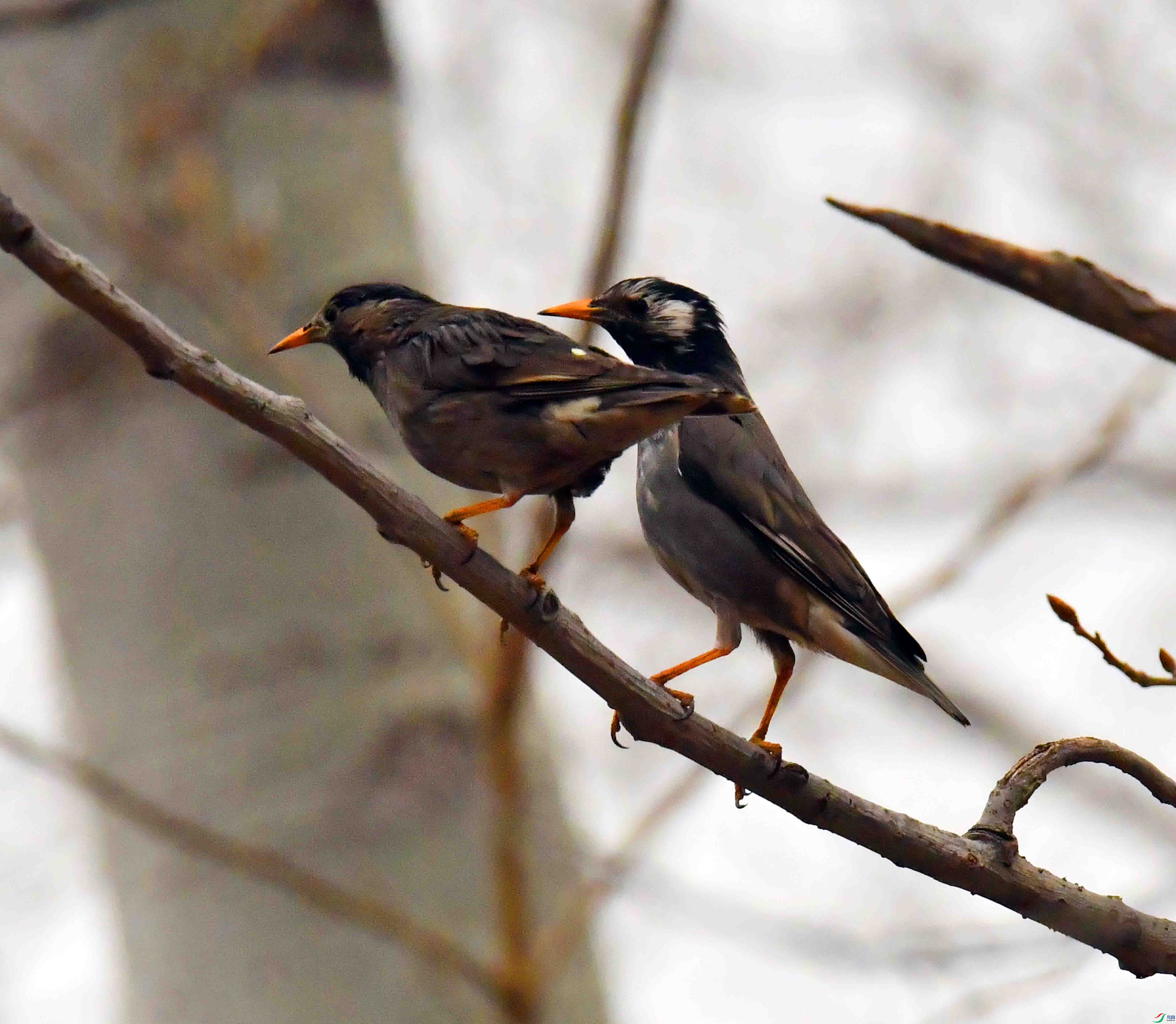 DSC_3045.JPG