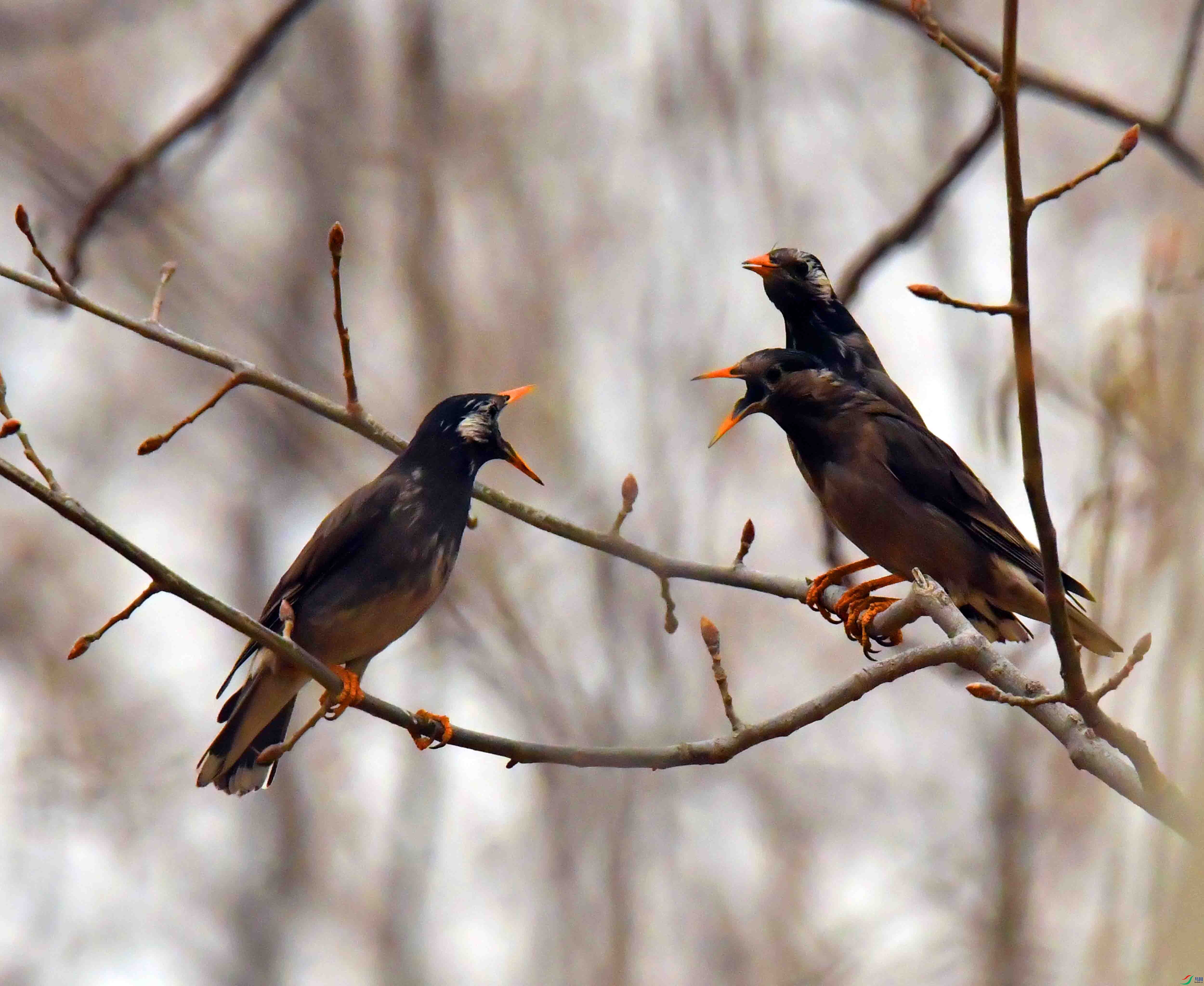 DSC_3091.JPG
