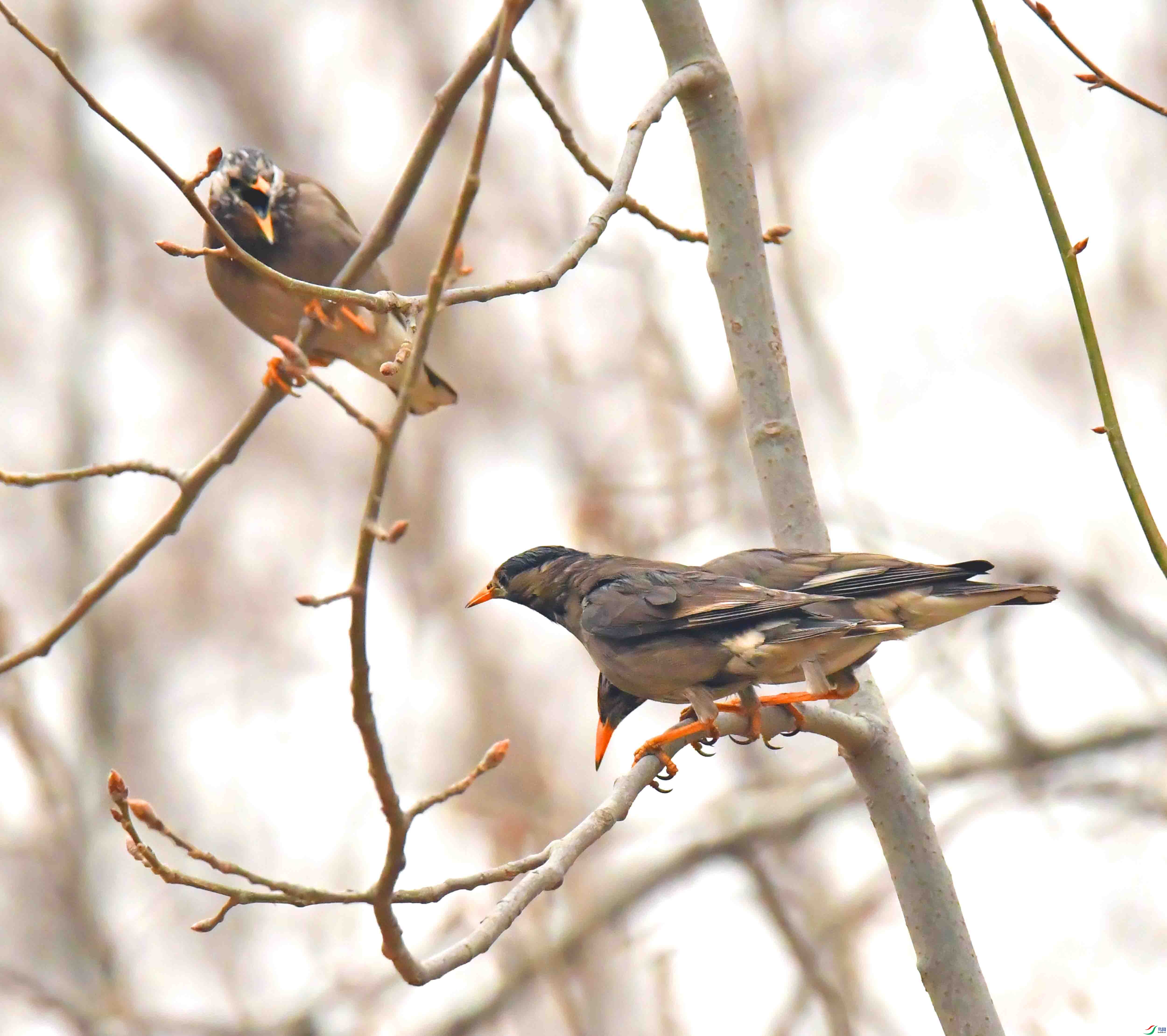 DSC_3112.JPG