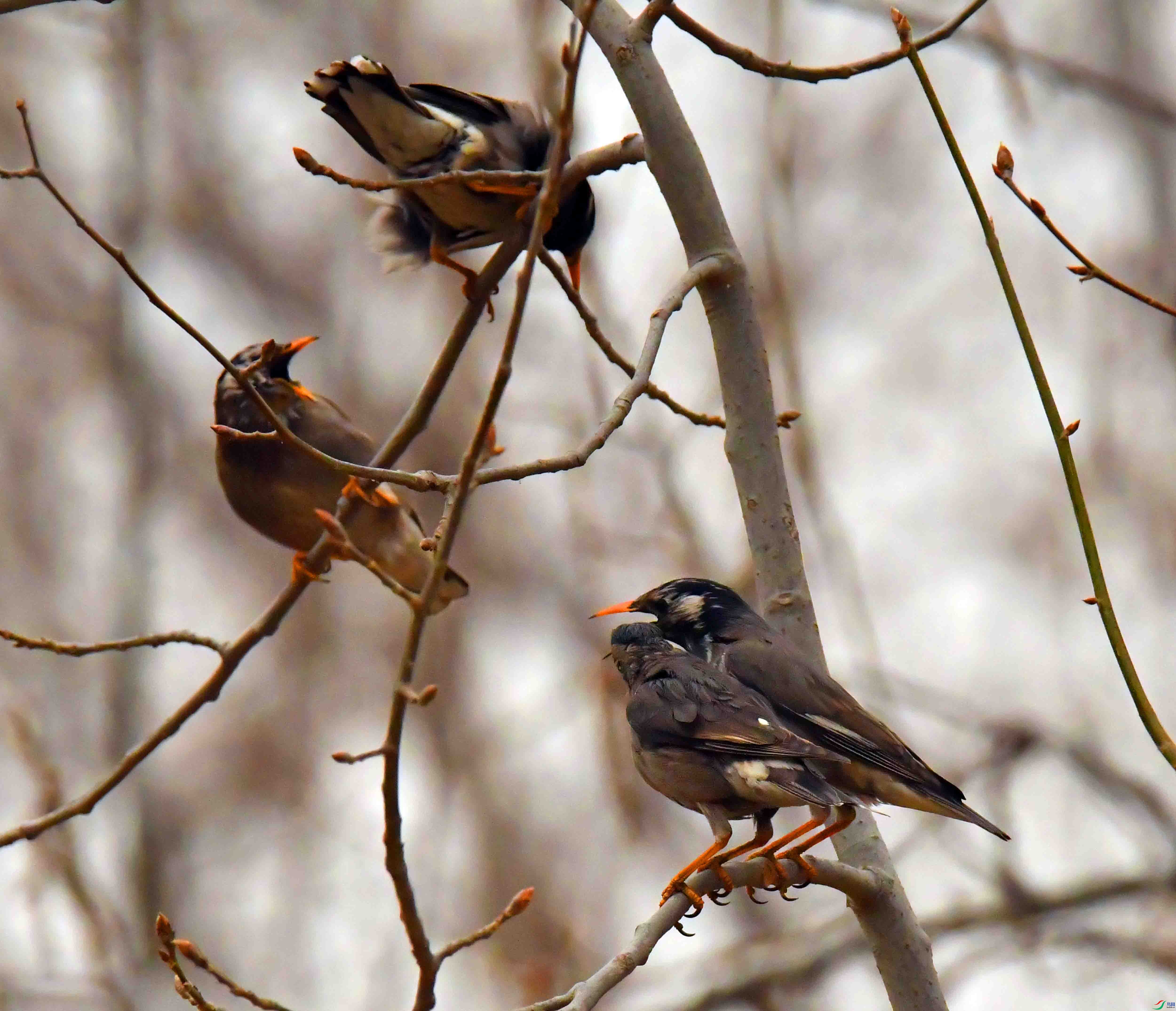 DSC_3113.JPG
