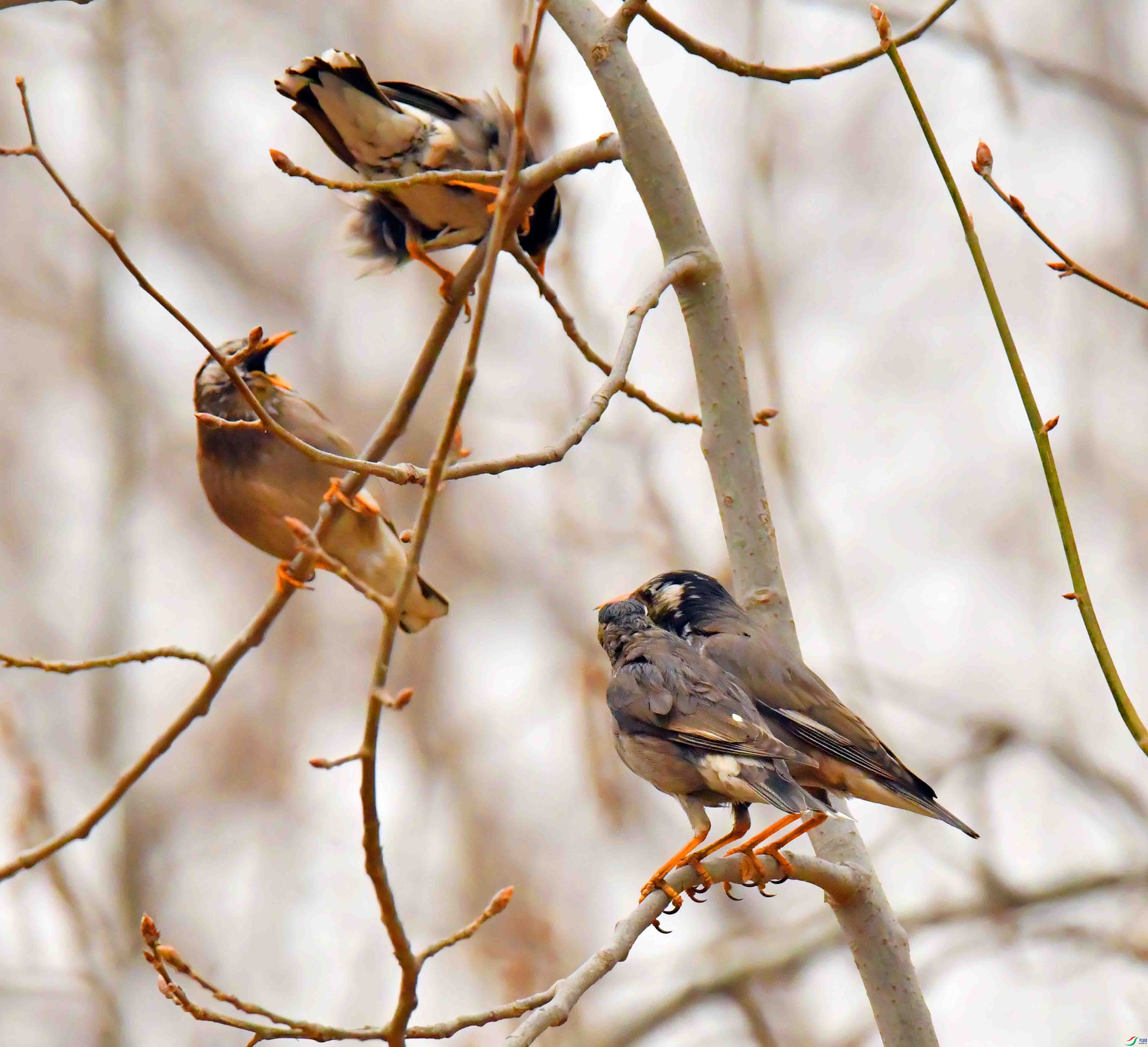 DSC_3114.JPG