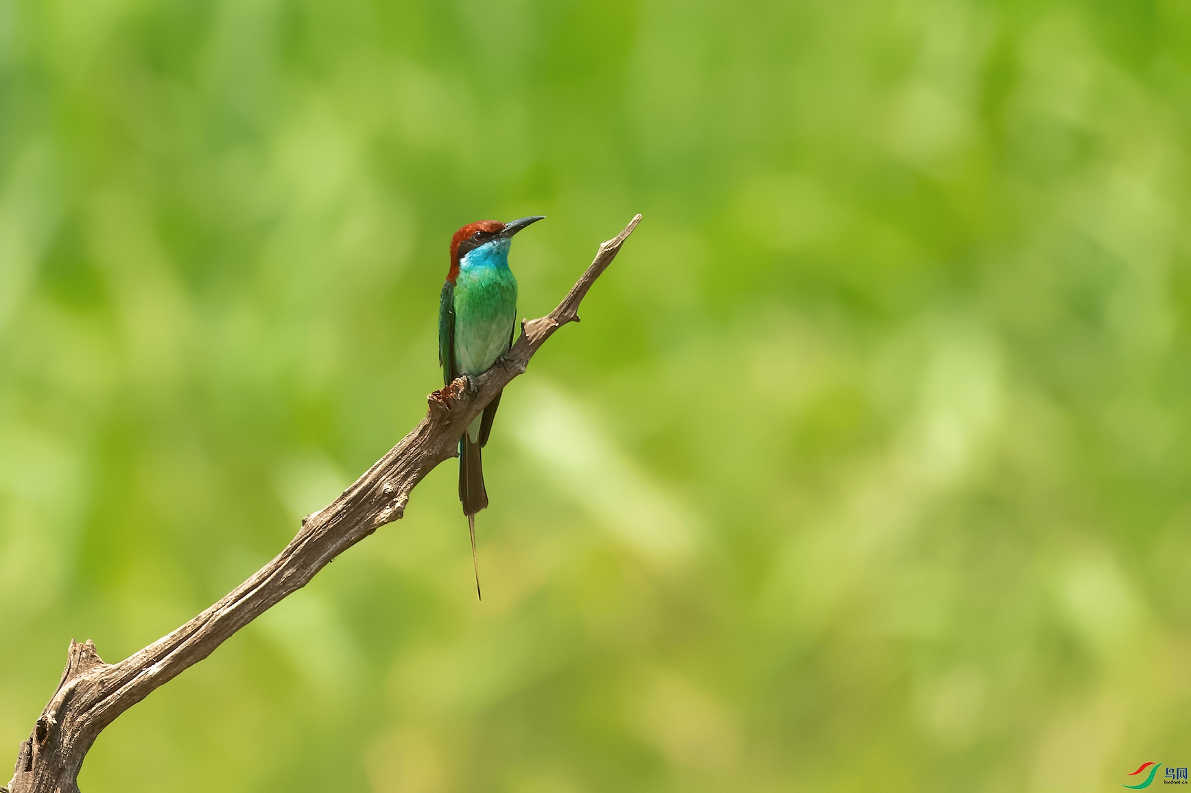 DSC_6444_DxOa.jpg