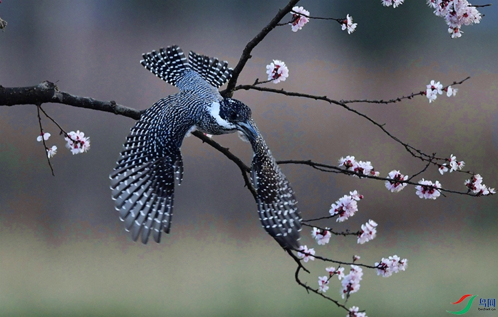 �һ����ˡ�