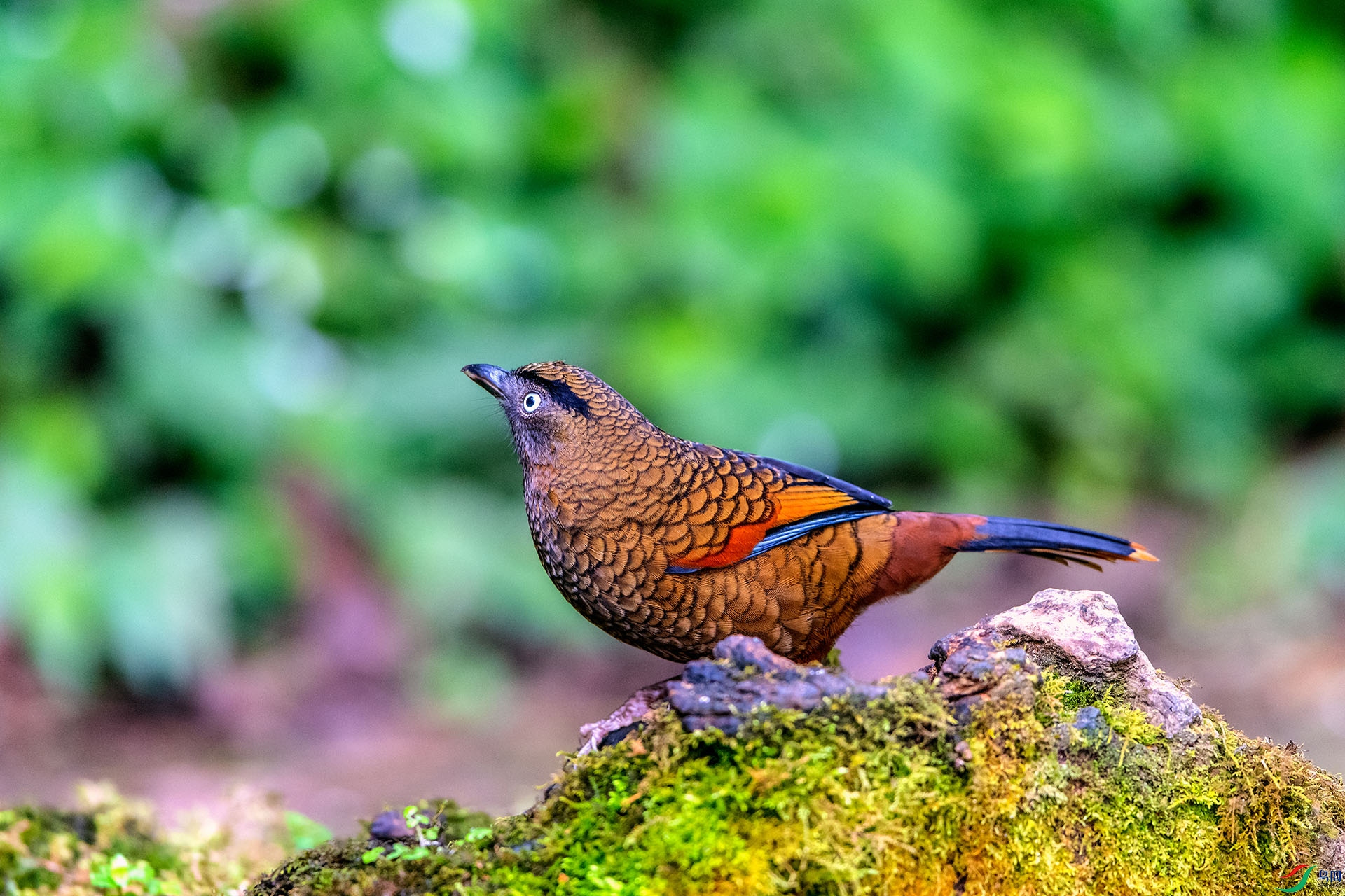 ��_AUU1566����������(24.2.15)-1.jpg