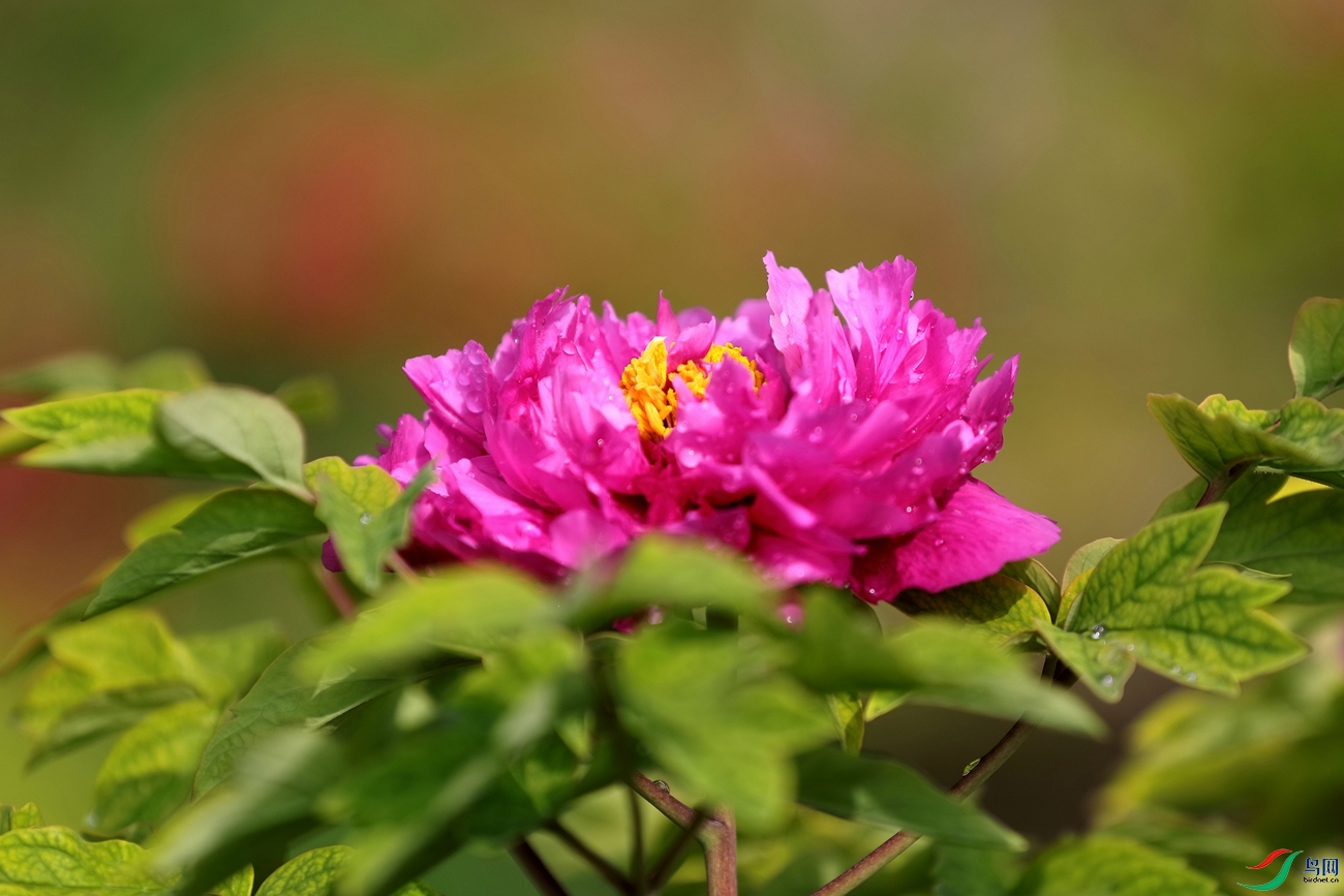 3X7A6434.JPG