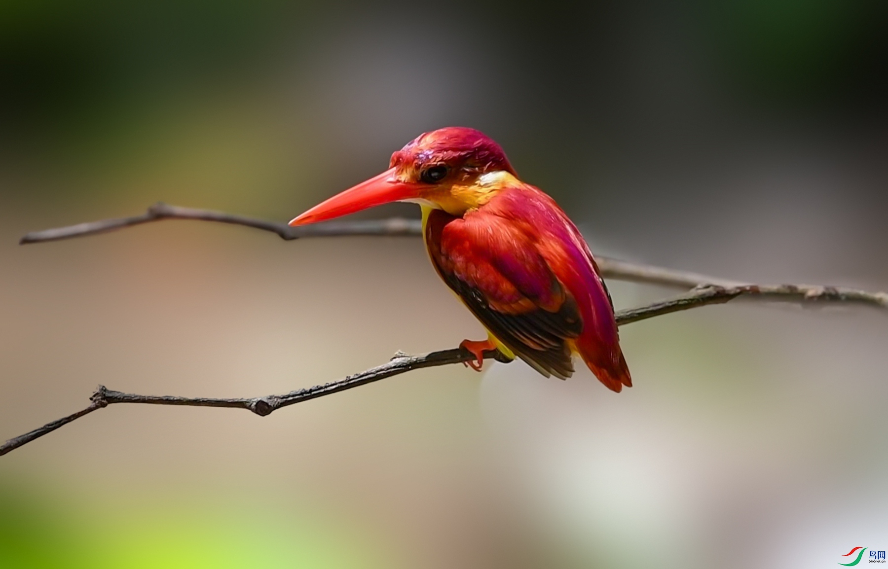 DSC_9097 - frame at 0m35s_����.jpg