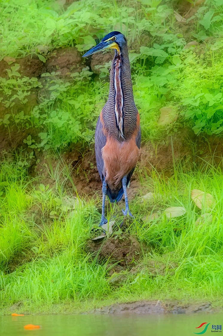 _DSC9998.jpg