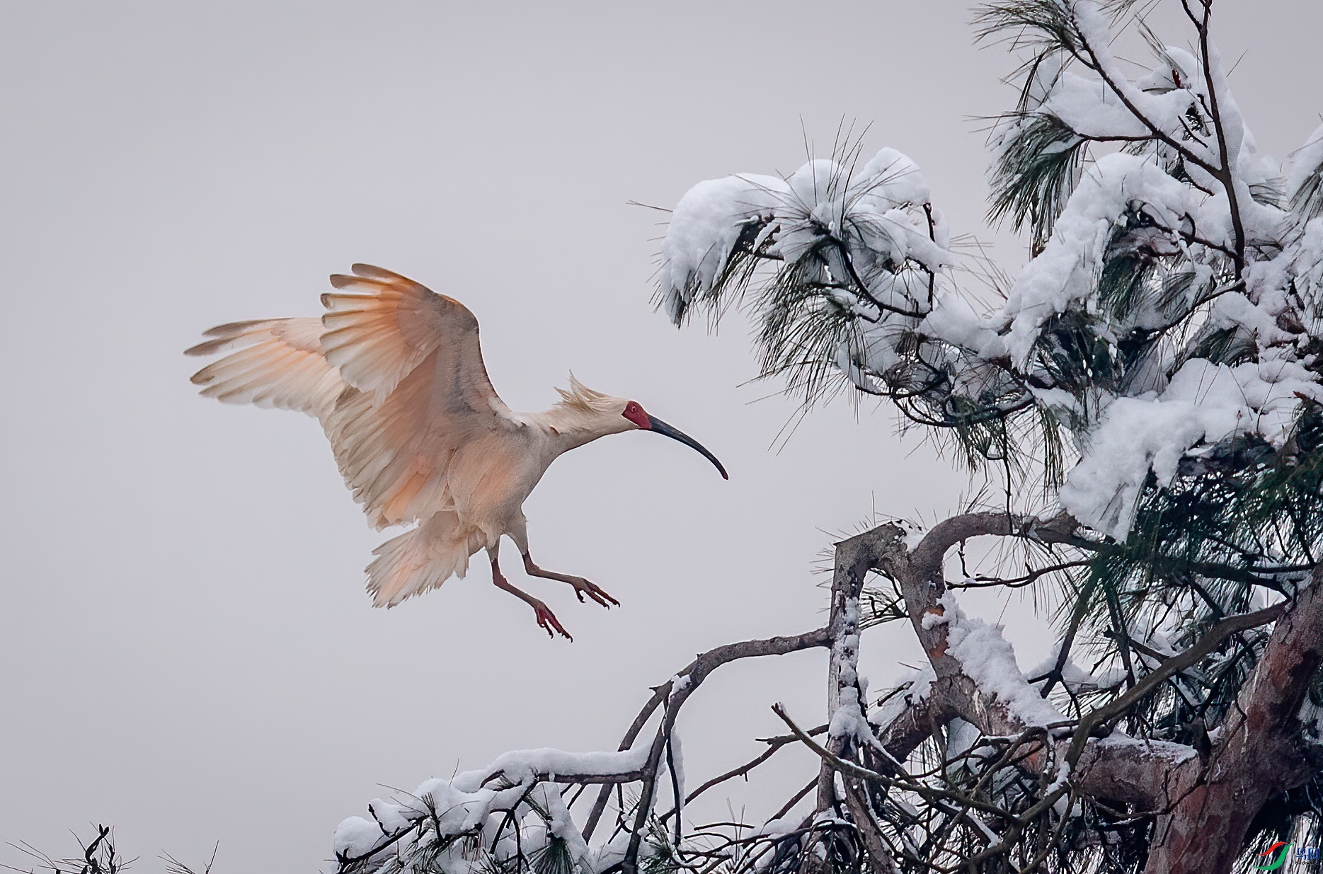 DSC_7824-1.jpg