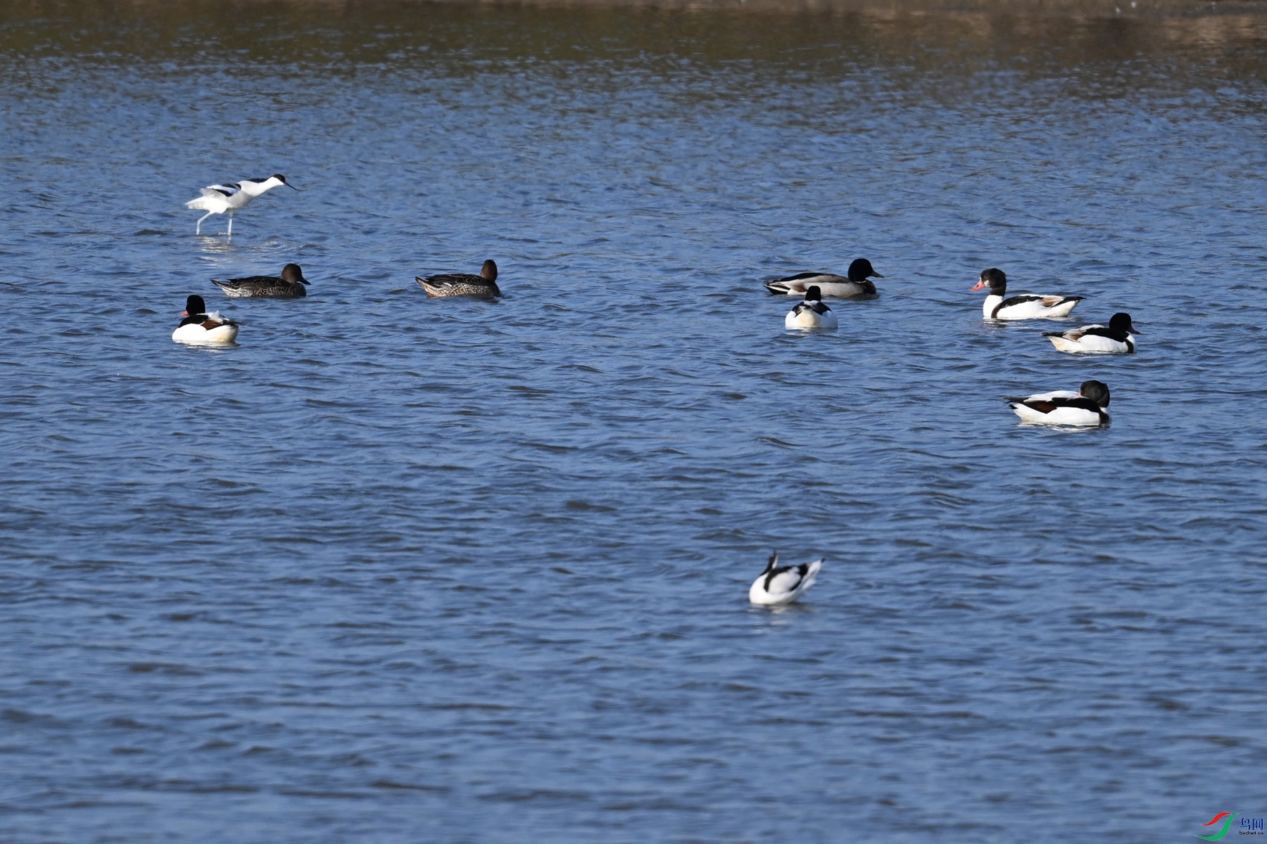 DSC_8416.JPG