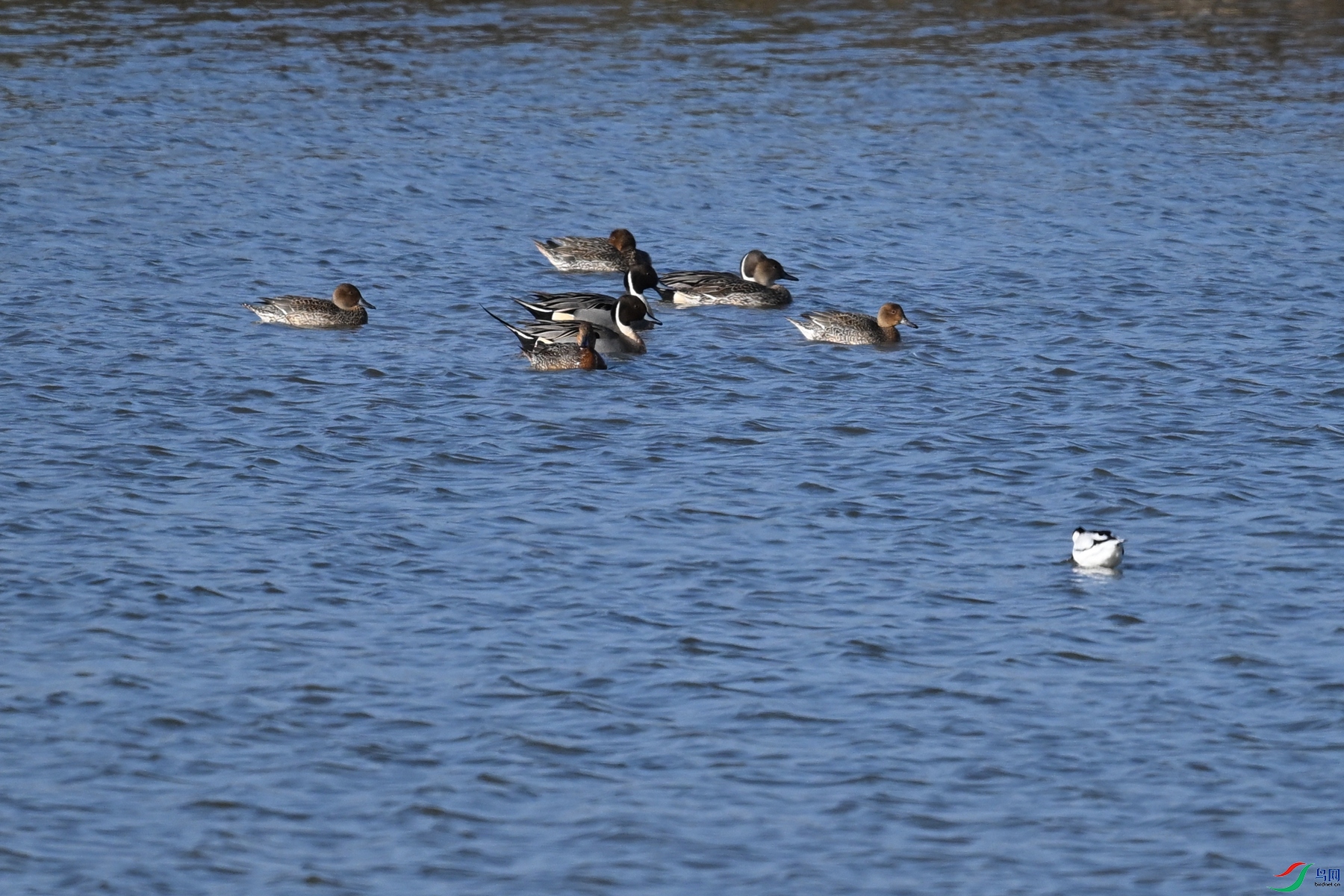 DSC_8409.JPG