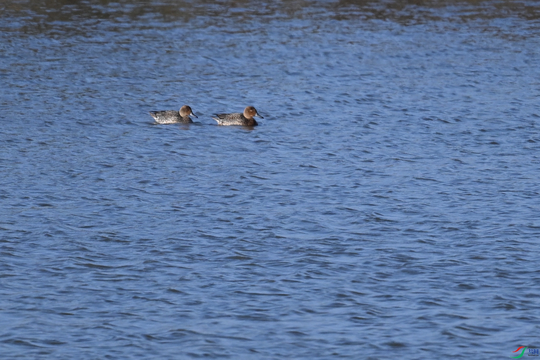 DSC_8410.JPG