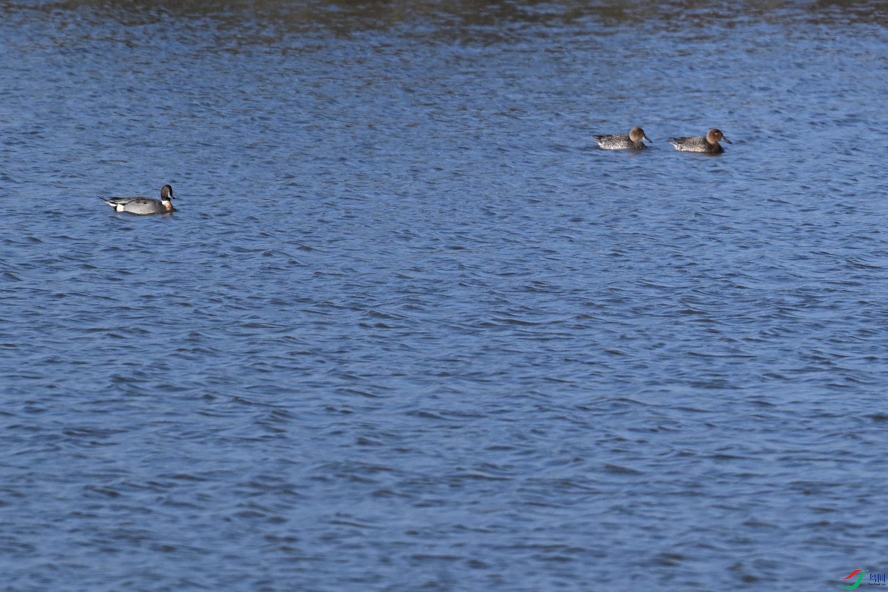 DSC_8411.JPG
