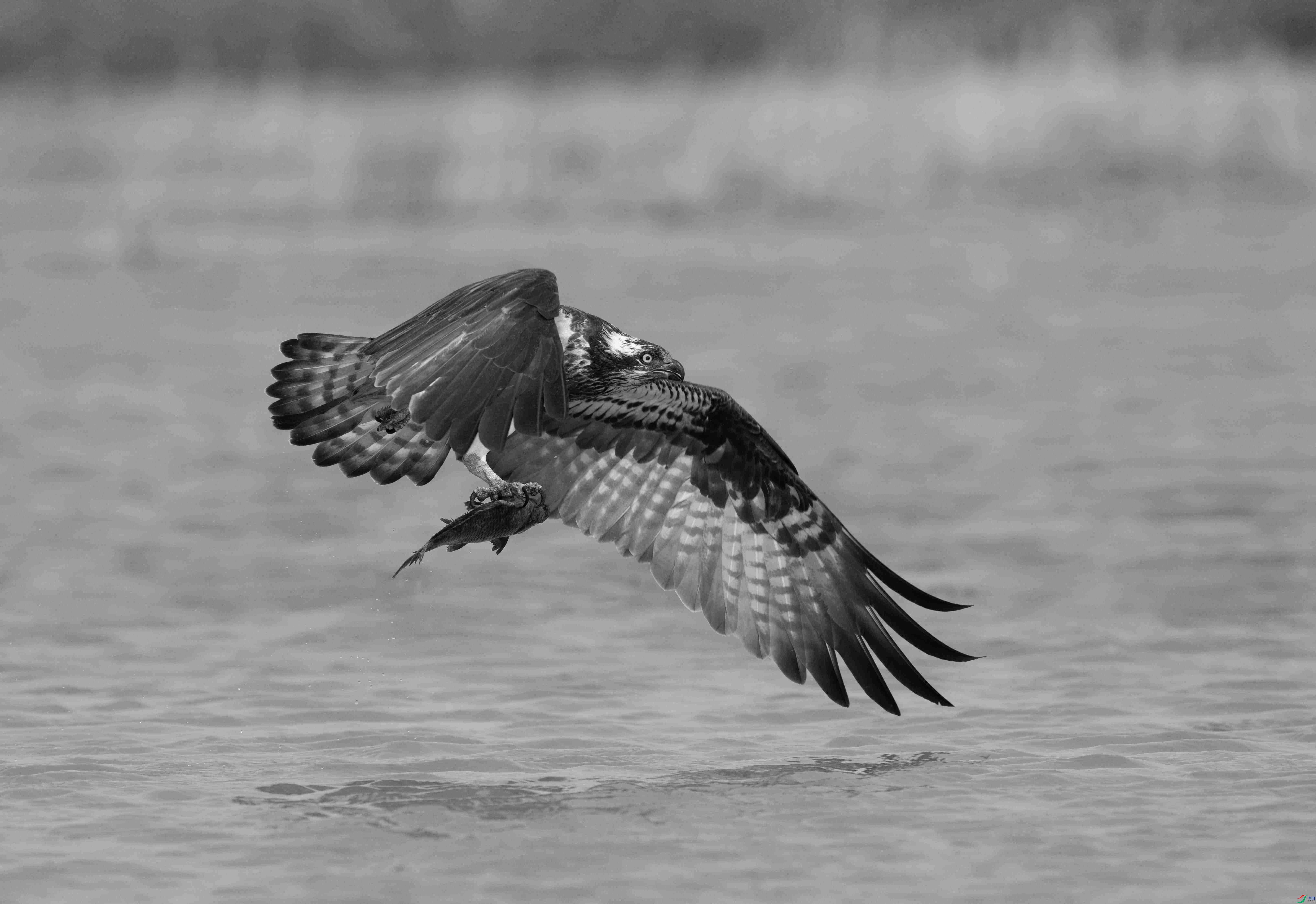 DSC00352 ���� 2_����.jpg