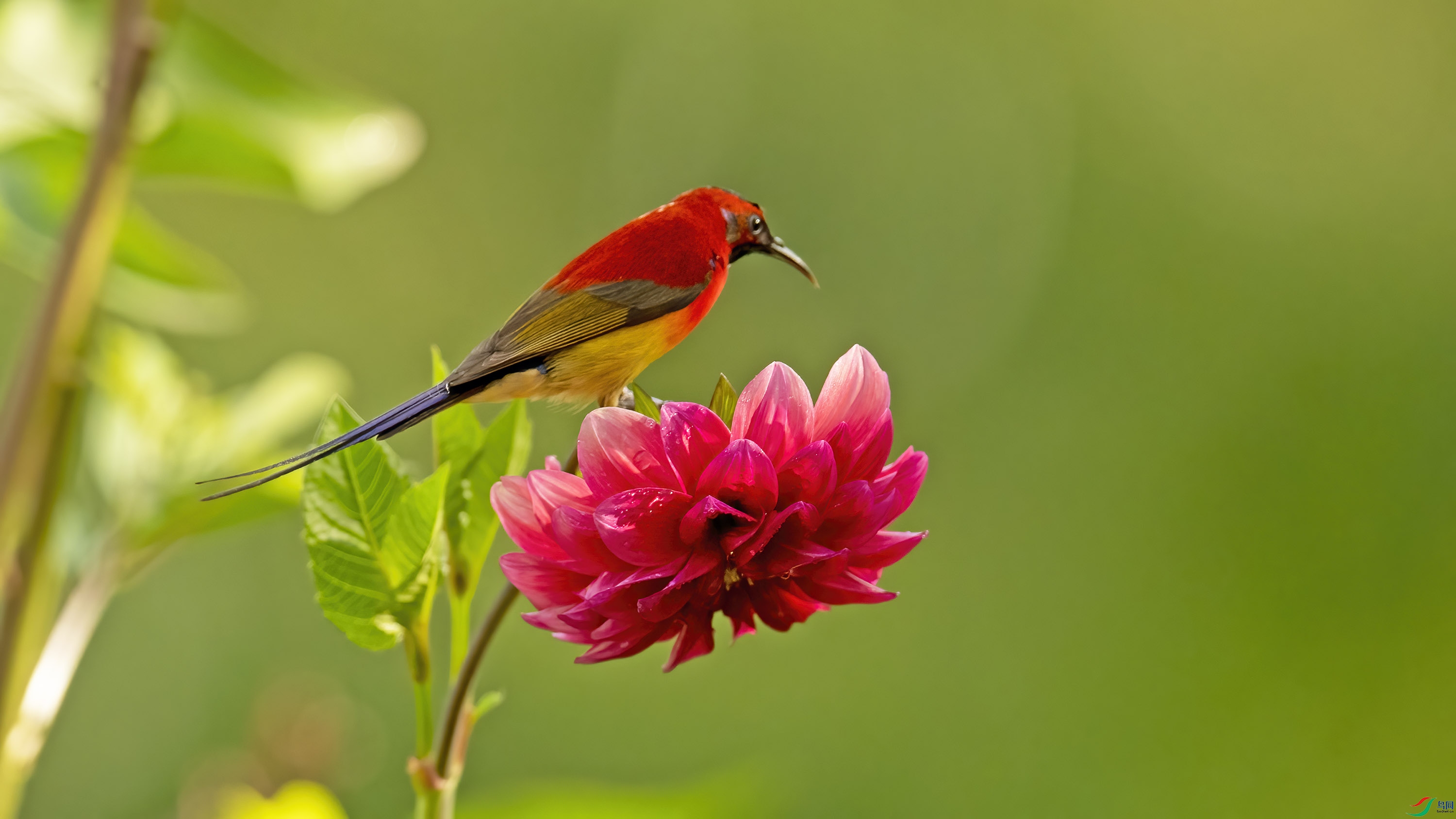 DSC_21277 - ����.jpg