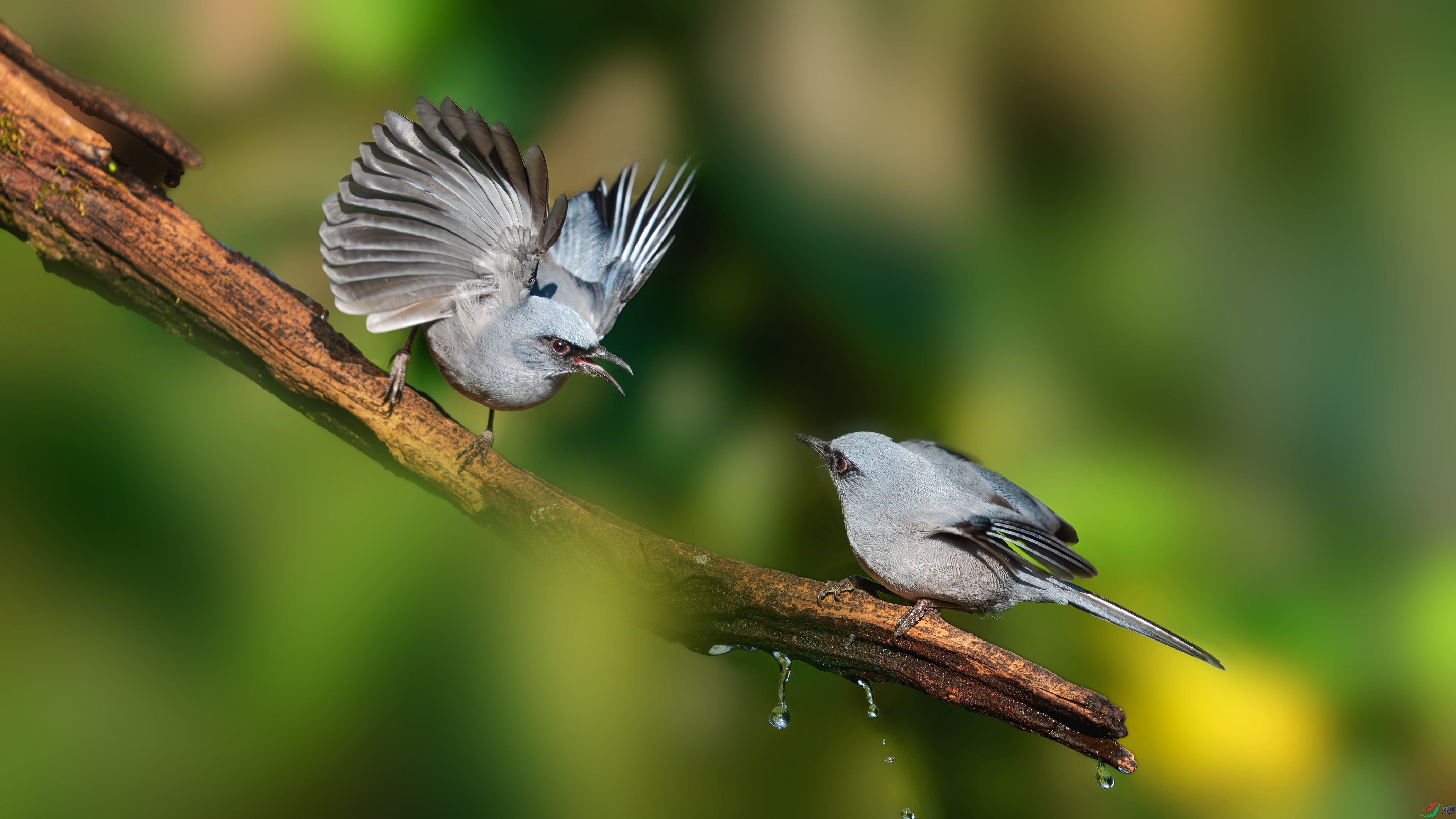 _DSC6951 (2) ���� 2.jpg