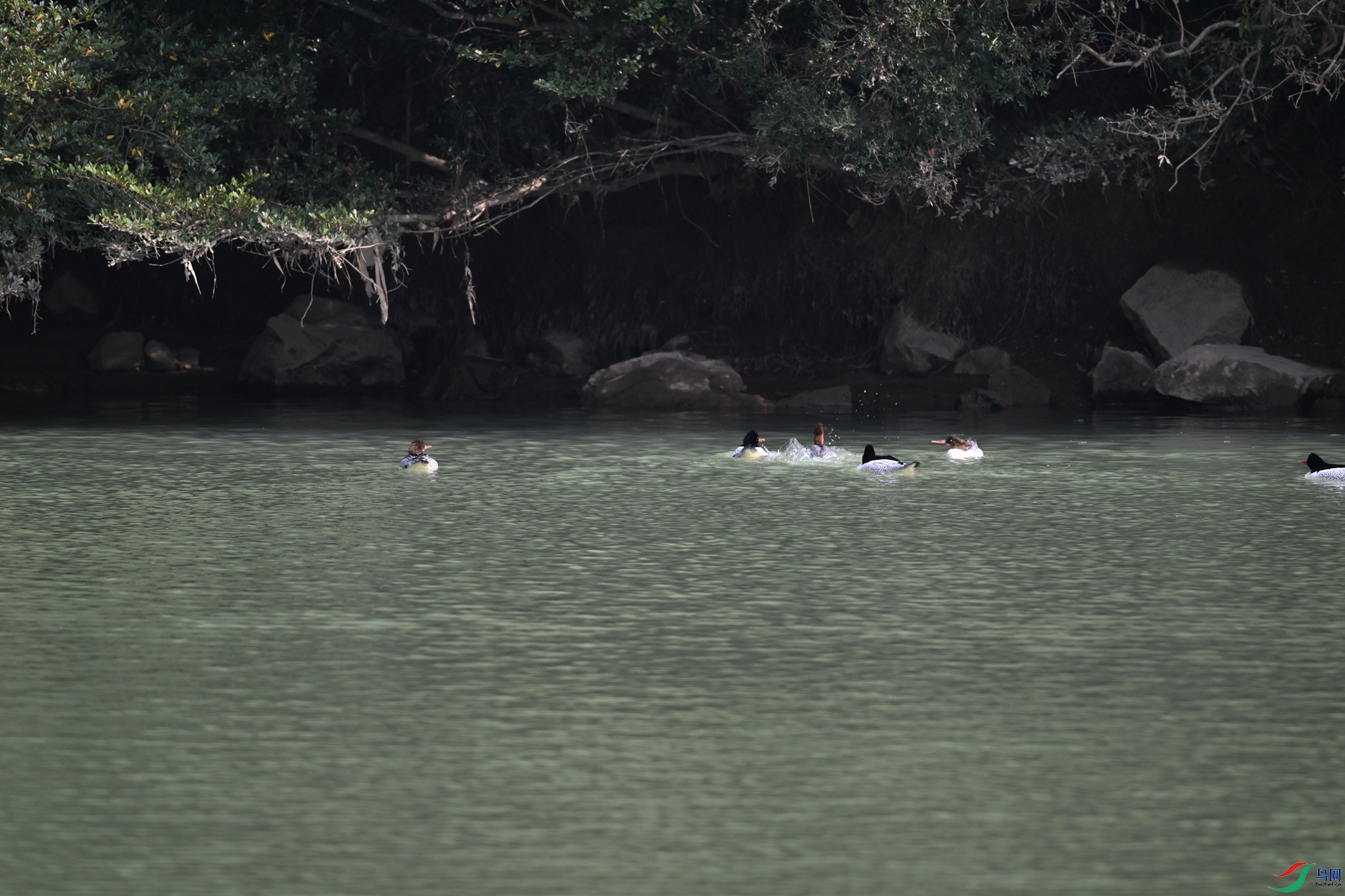 DSC_7213.JPG