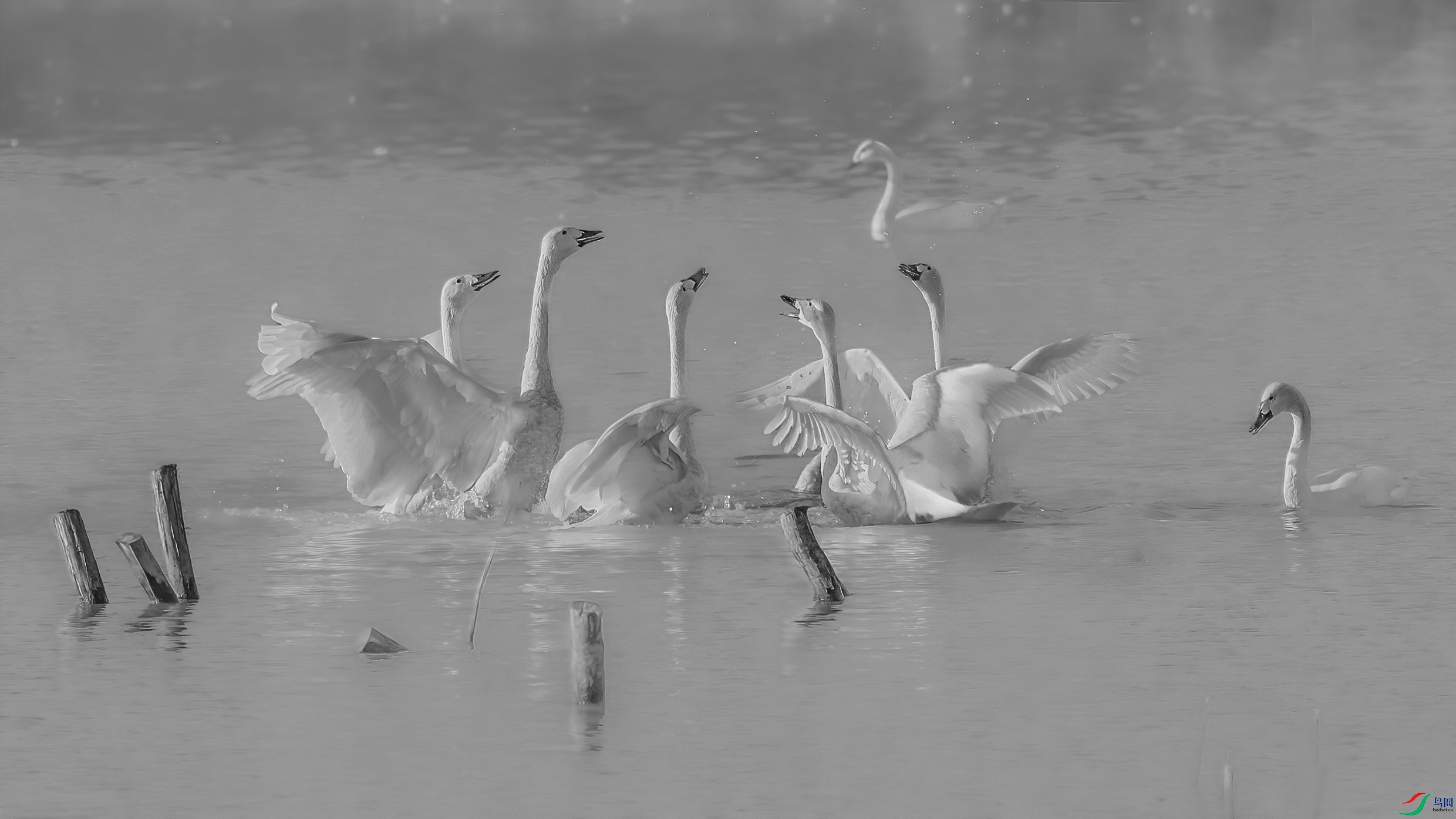 G81A7126 ����1.jpg