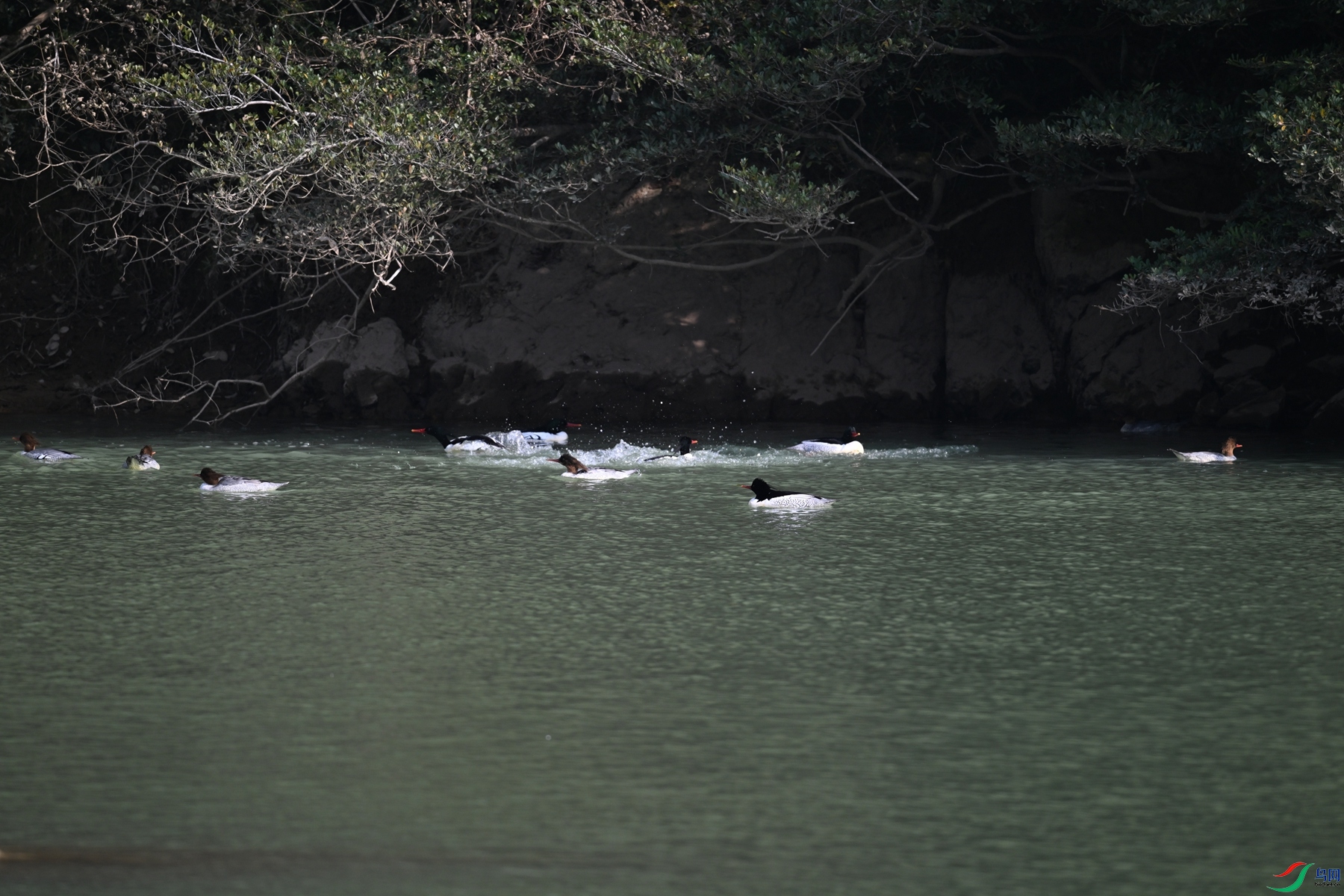 DSC_7220.JPG
