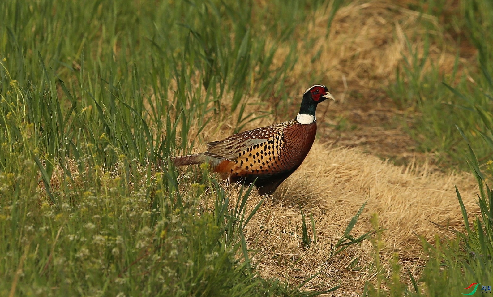 D89P4814.JPG