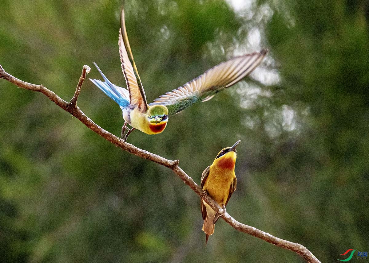 DSC_6806.jpg