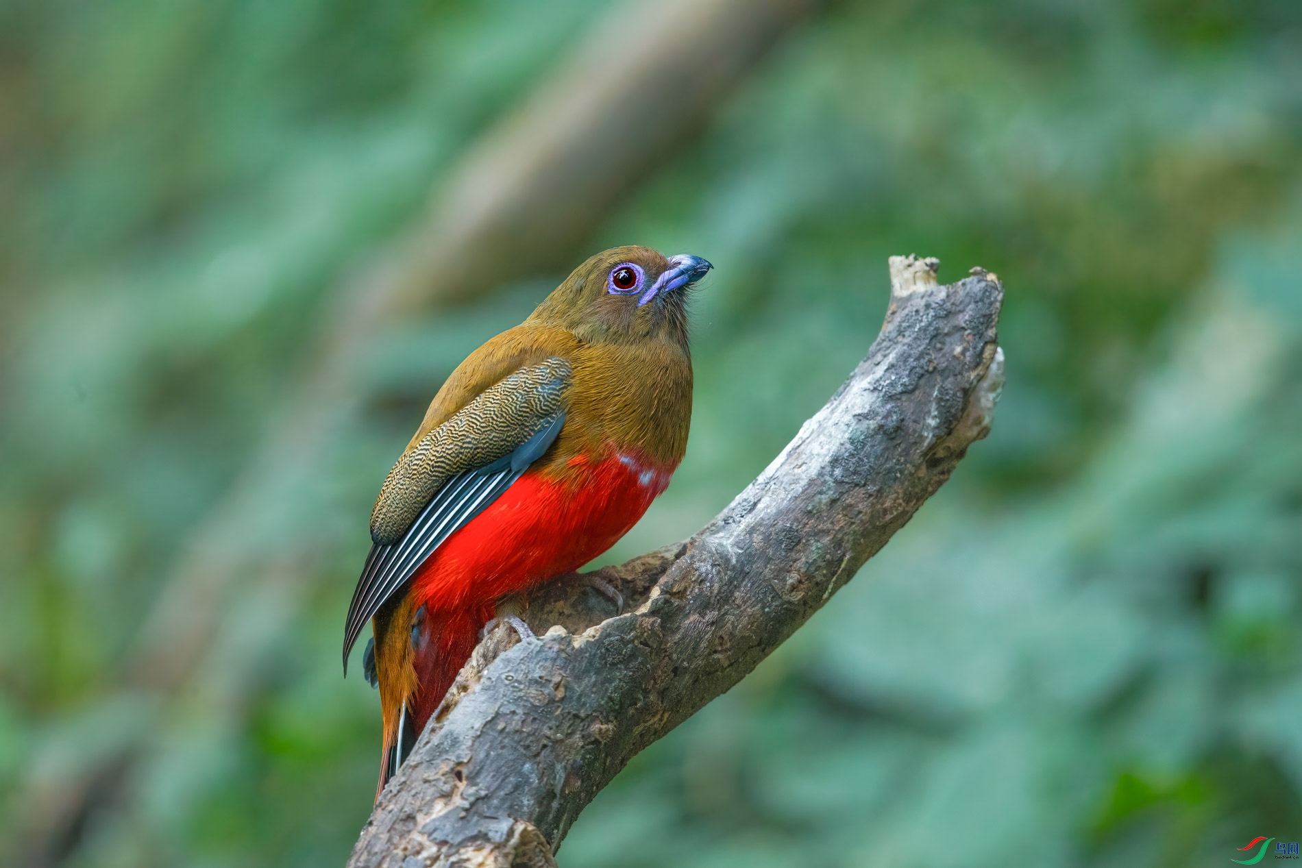 a_64376-1.jpg