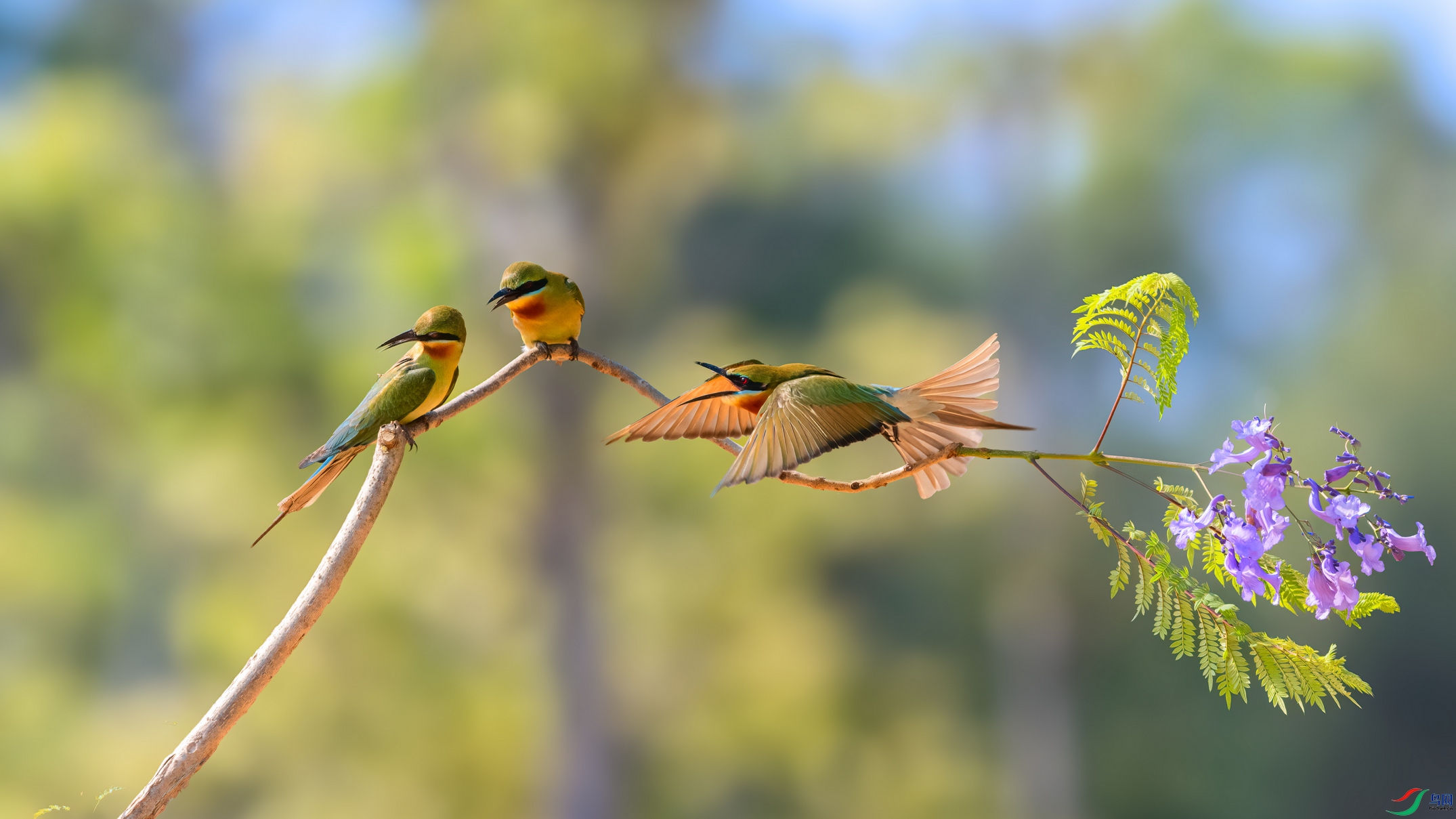 ��ƬDSC_9706 ����.jpg