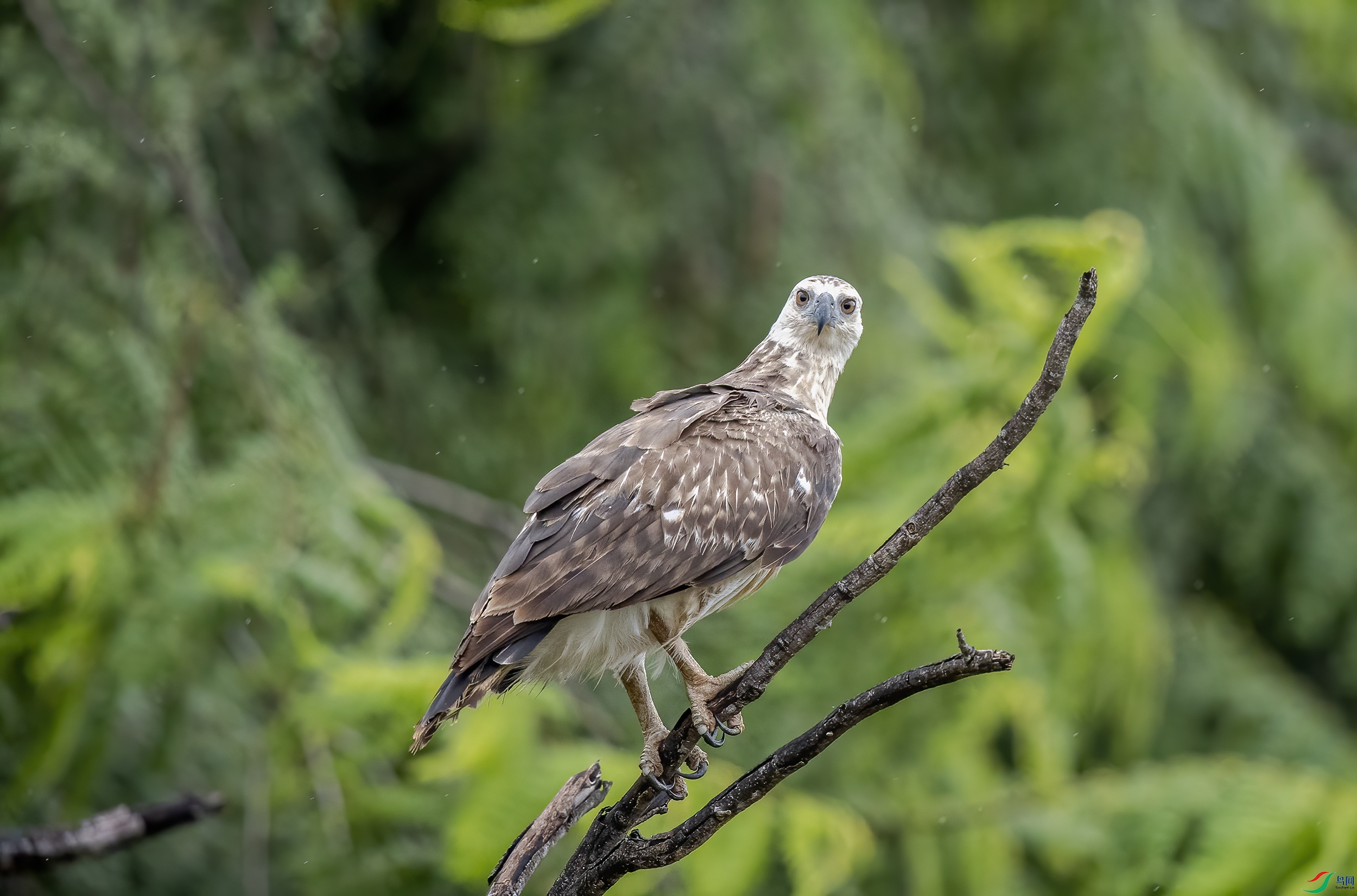 AC3I6738 ����.jpg