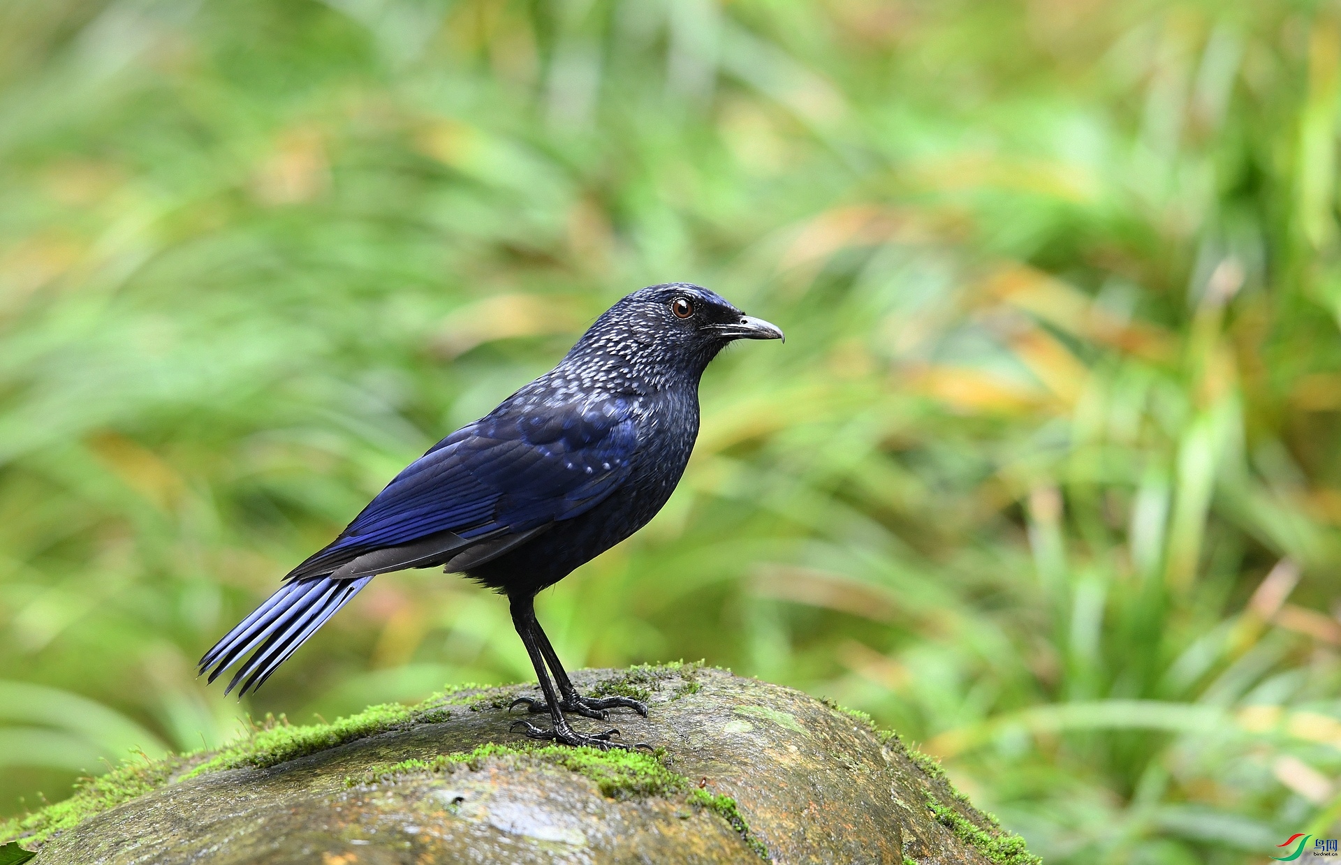 DSC_4304.jpg