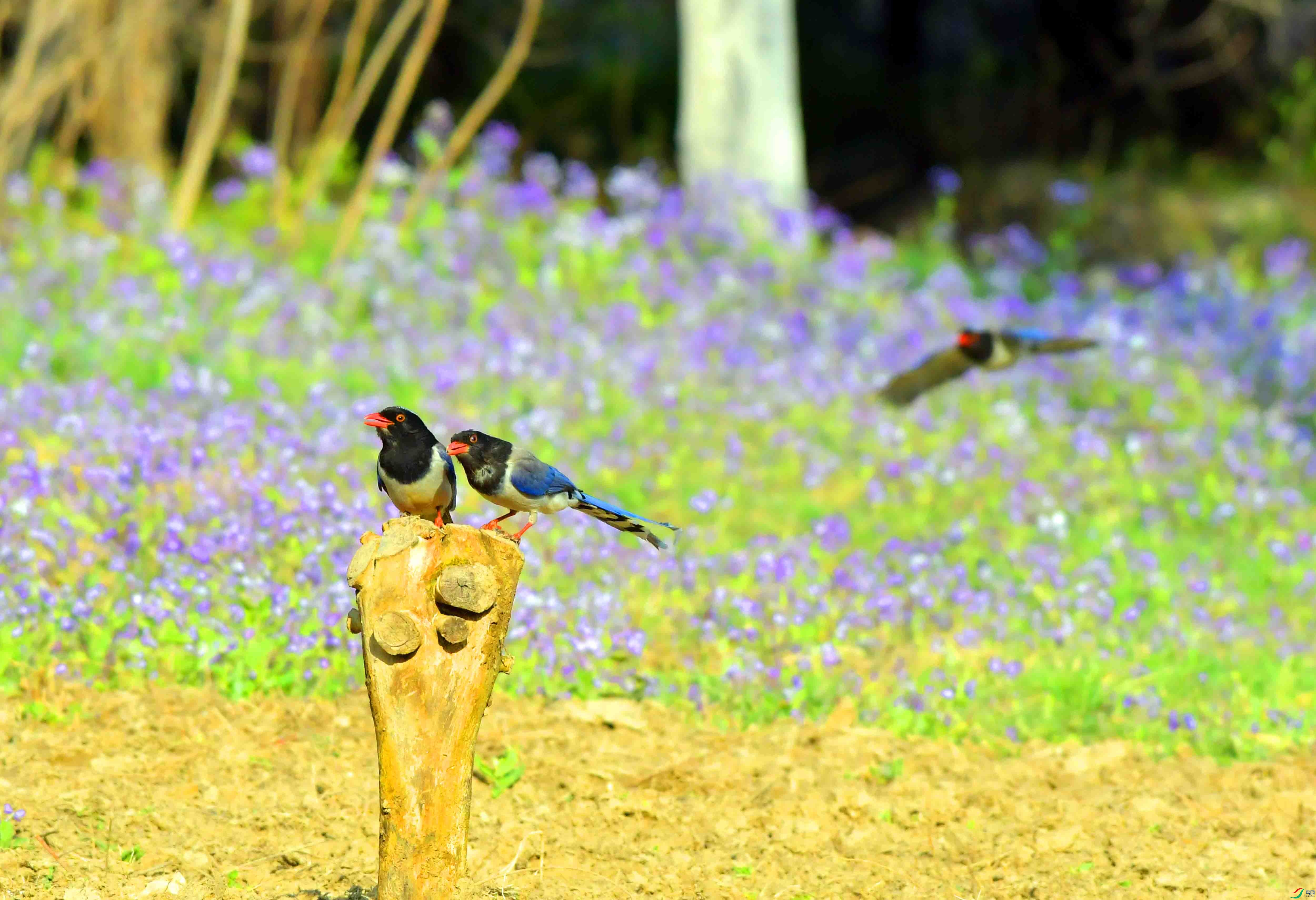 Copy2_DSC_4610.JPG