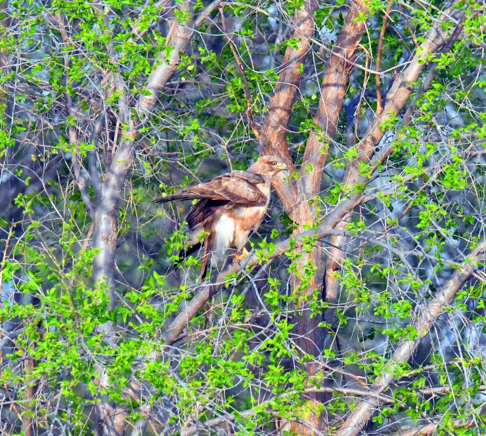 DSC_2324.JPG