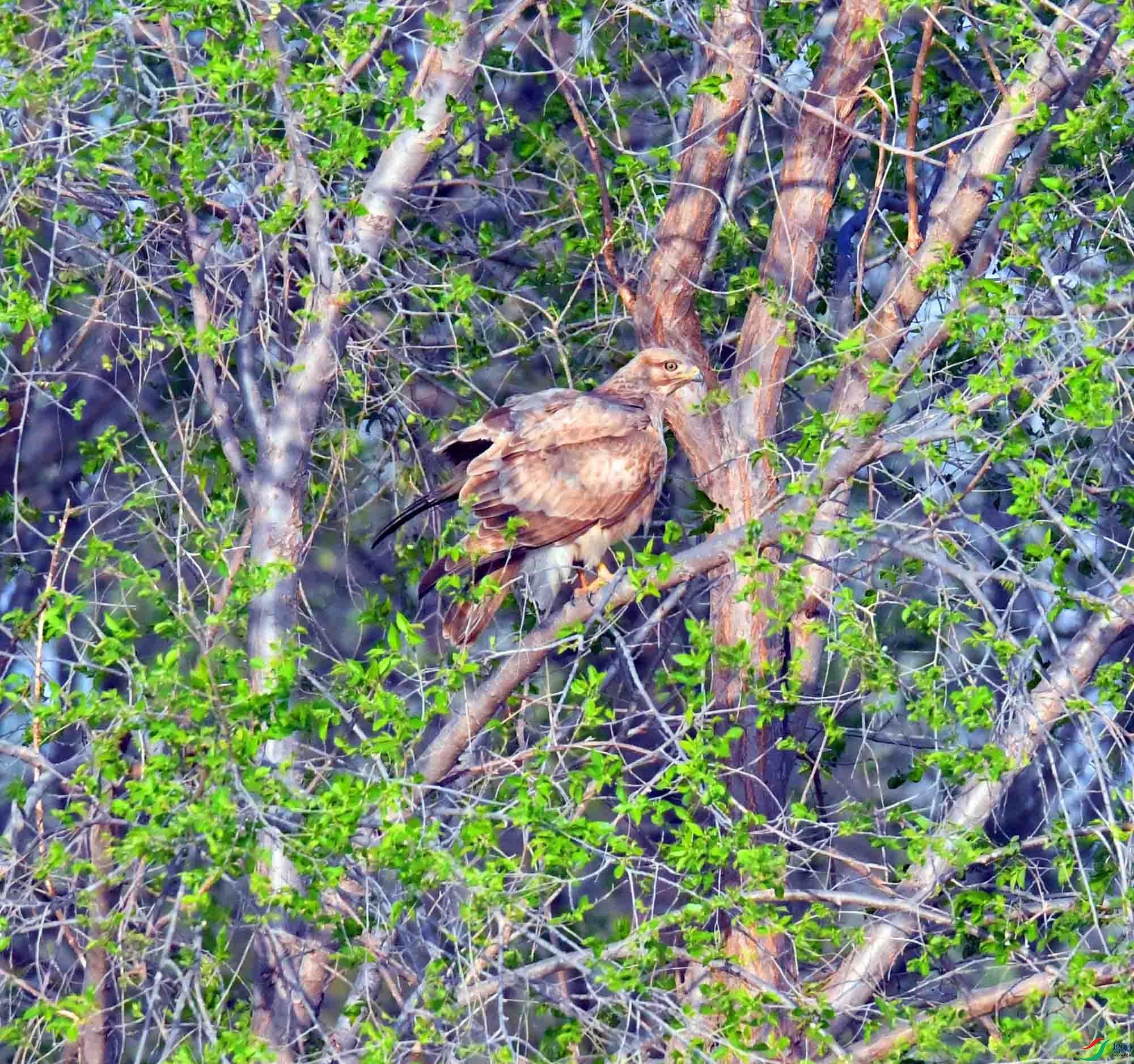 DSC_2326.JPG