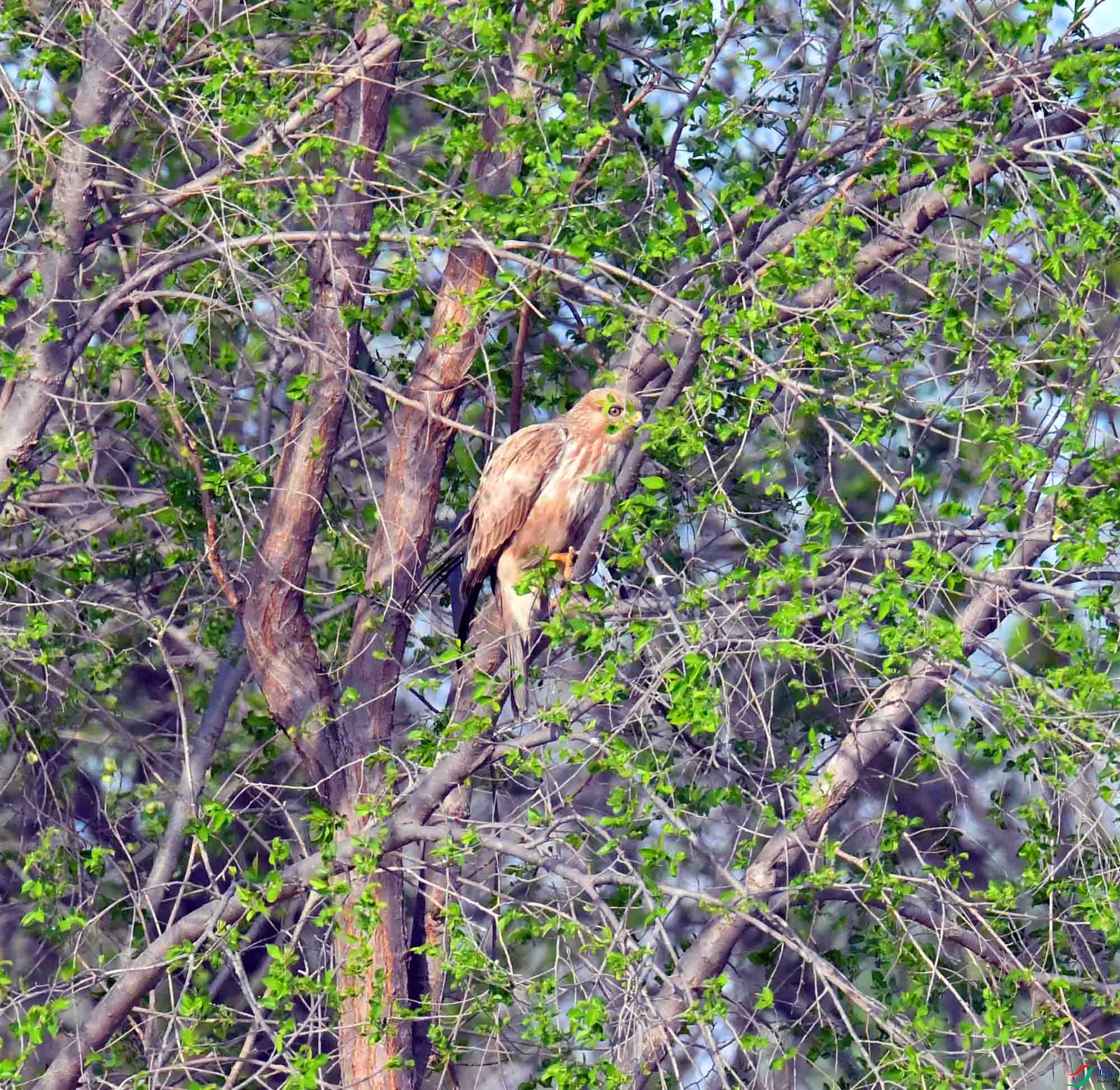 DSC_2459.JPG