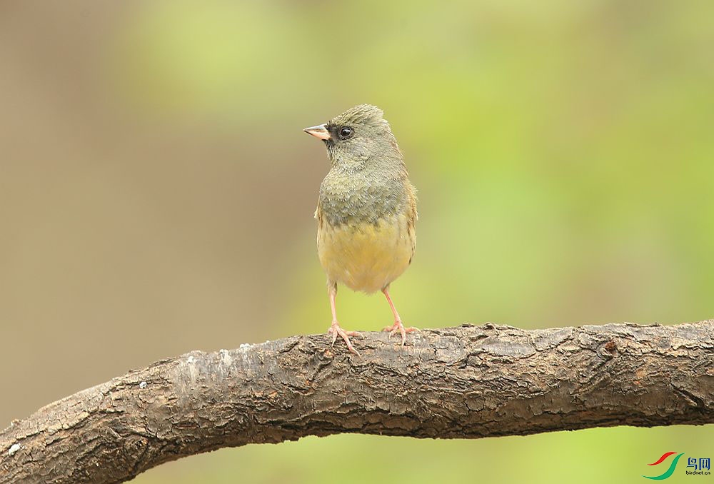 D72T3871.JPG