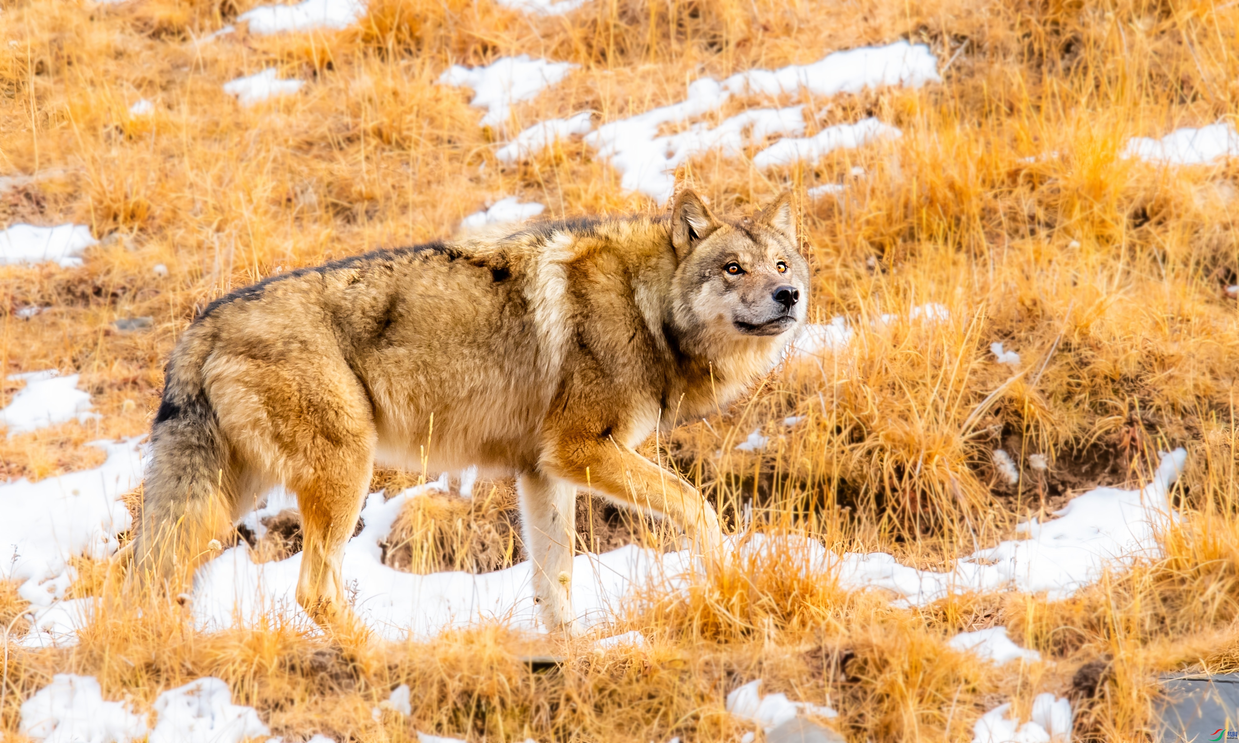 DSC_1568.jpg