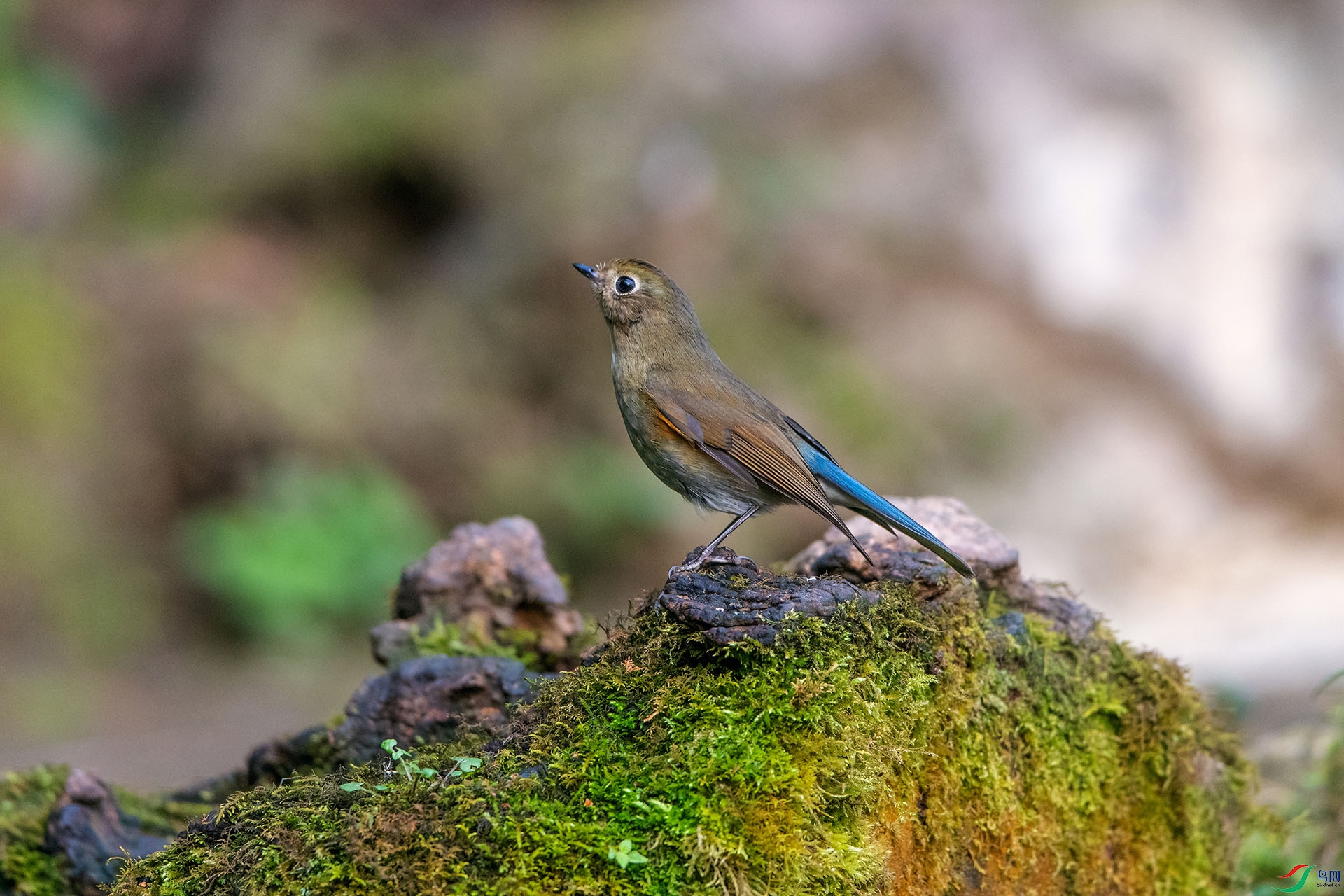 ��_AUU1431����ü���(24.2.15)-1.jpg