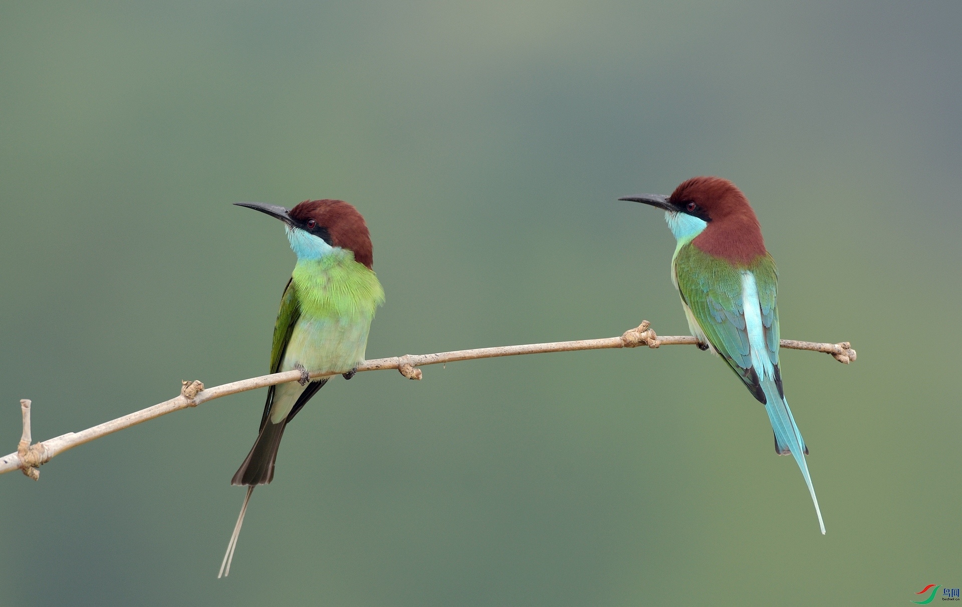 D72_9977.jpg