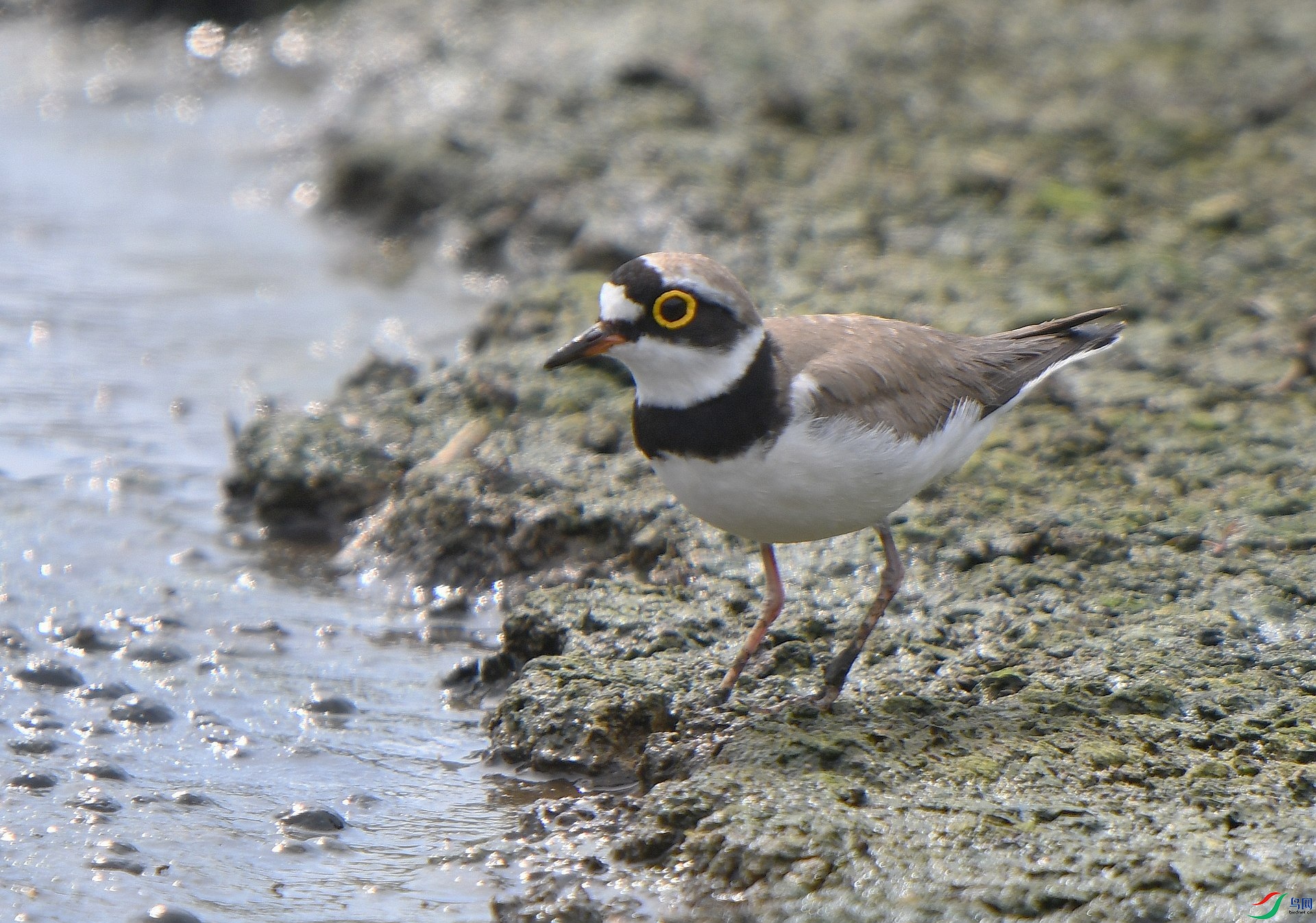 DSC_5901.jpg