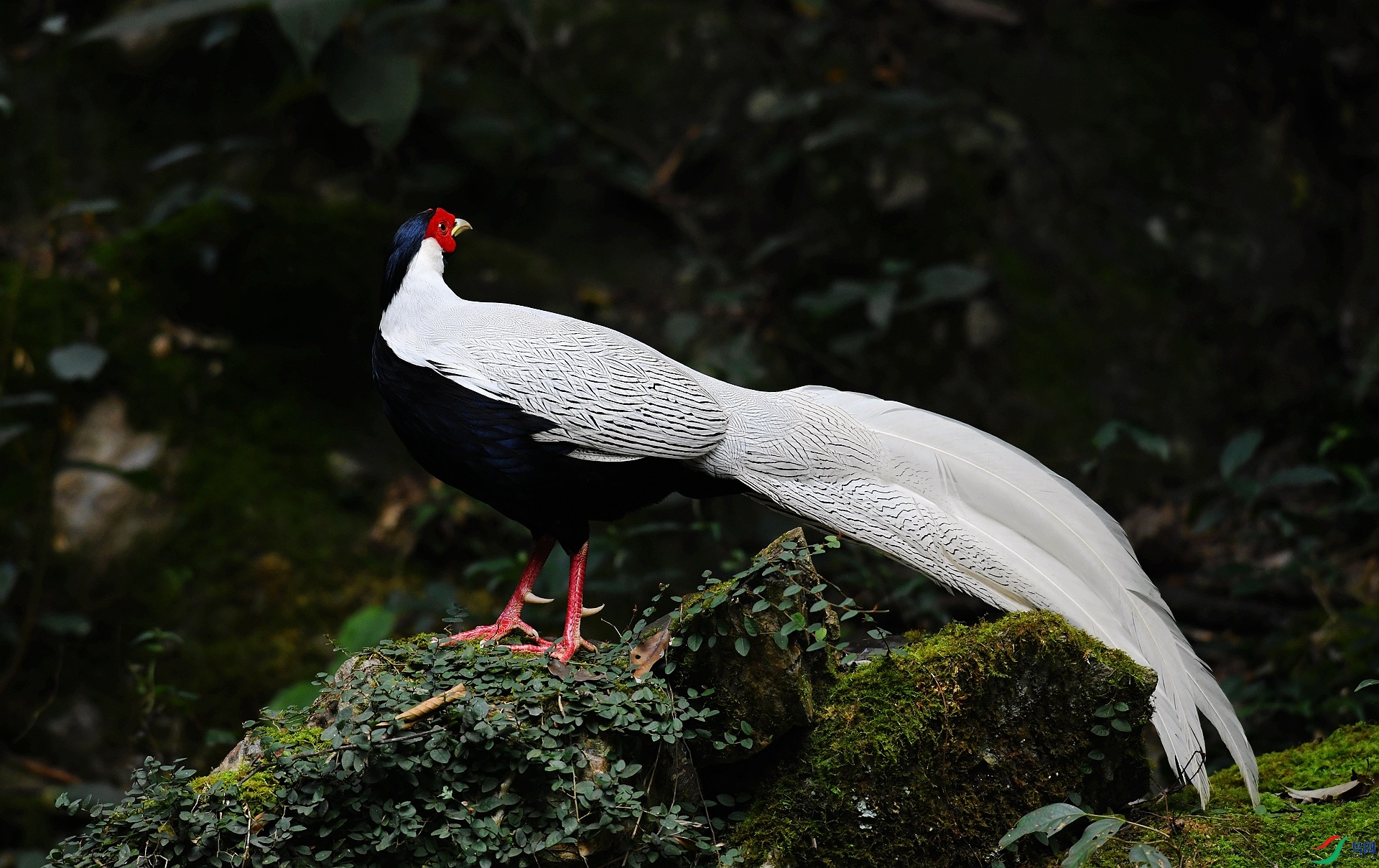 DSC_5935.jpg