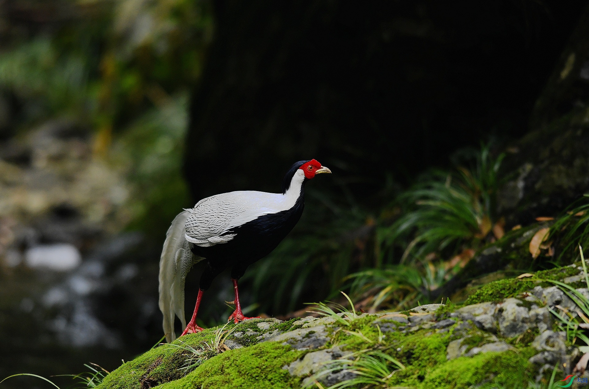 DSC_6268.jpg